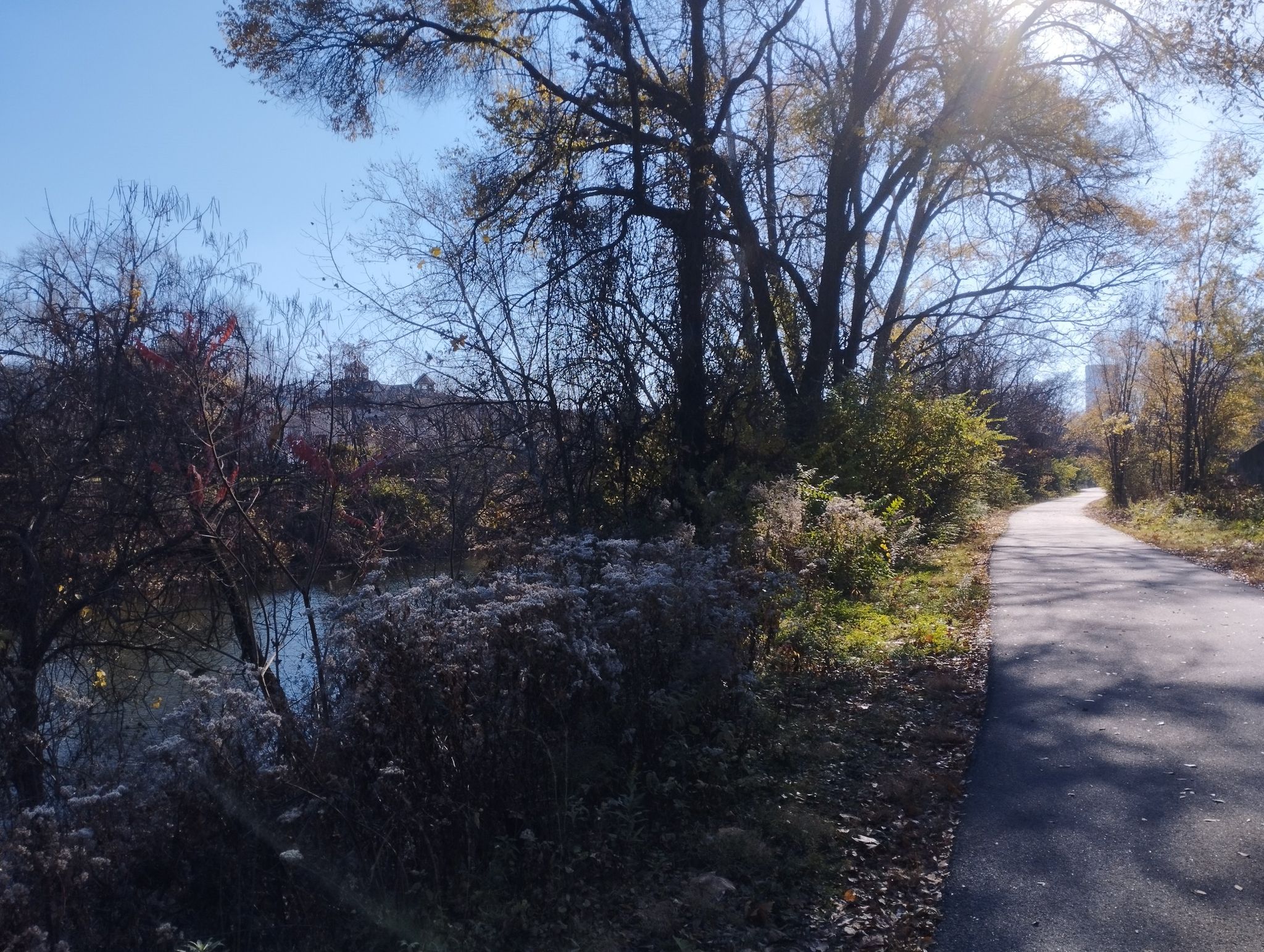 Sunny path next to water, surrounded by autumn trees and foliage. - Heinz Factory Complex loop from Millvale