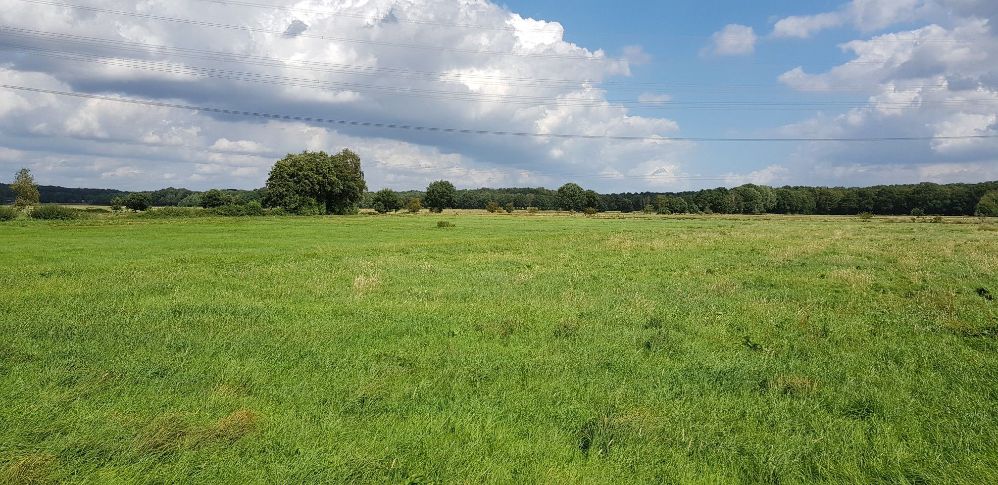 schöner Blick 