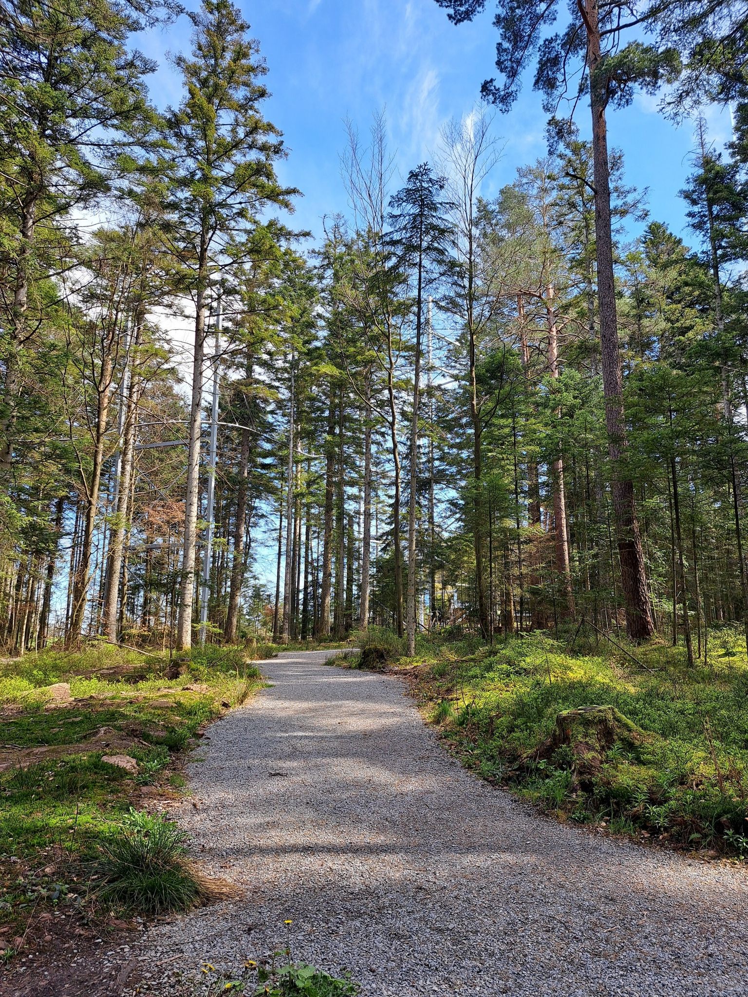 Weg zum Kurpark Schömberg