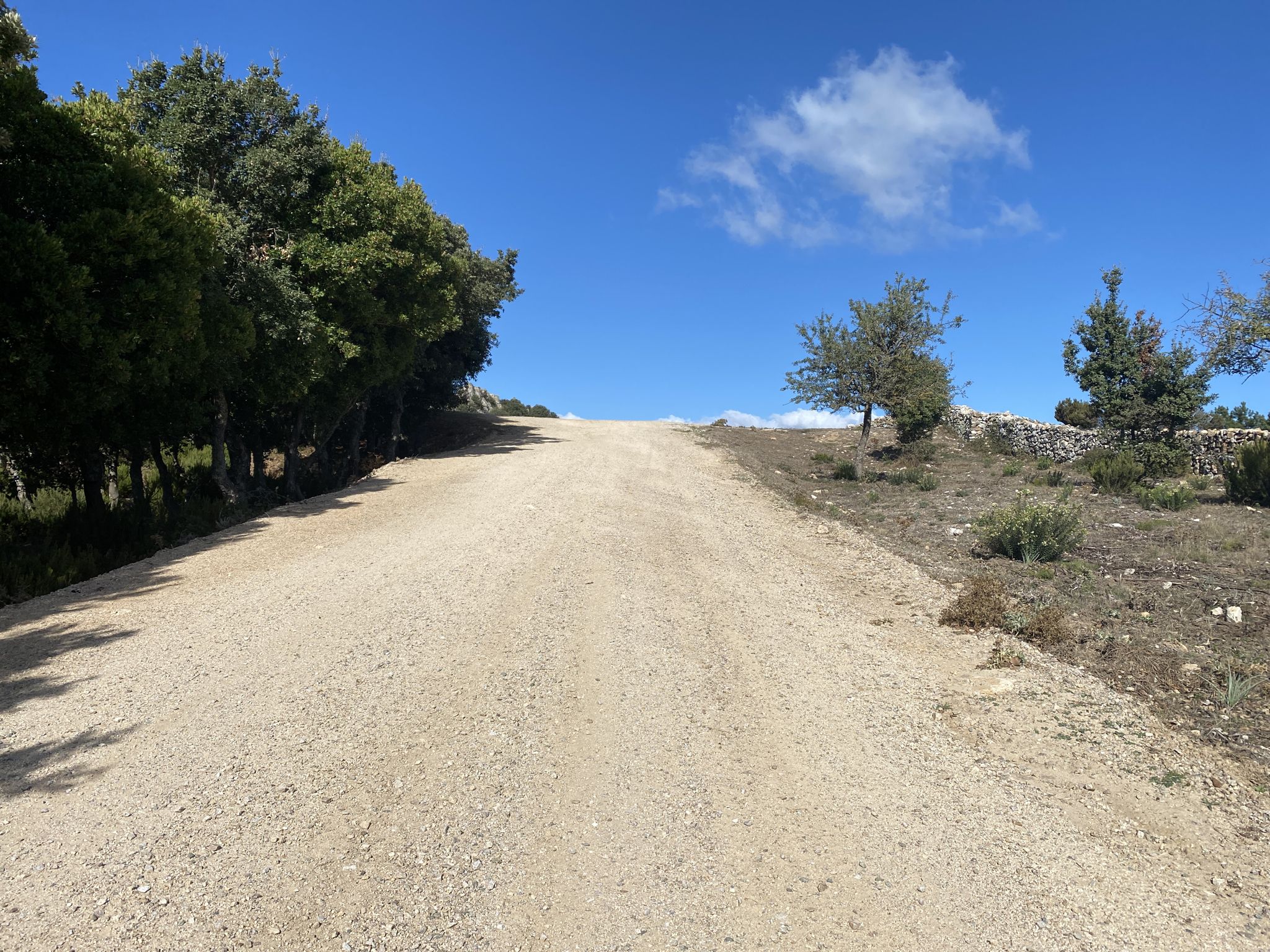 Mickys Jump - Highlight der Rallye Sardegna