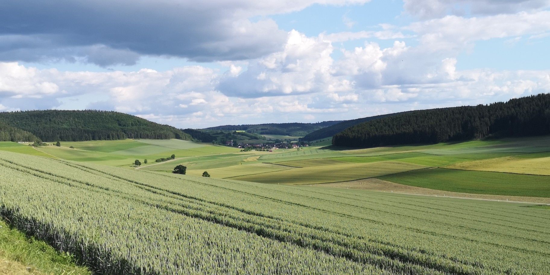 Blick auf Hondingen