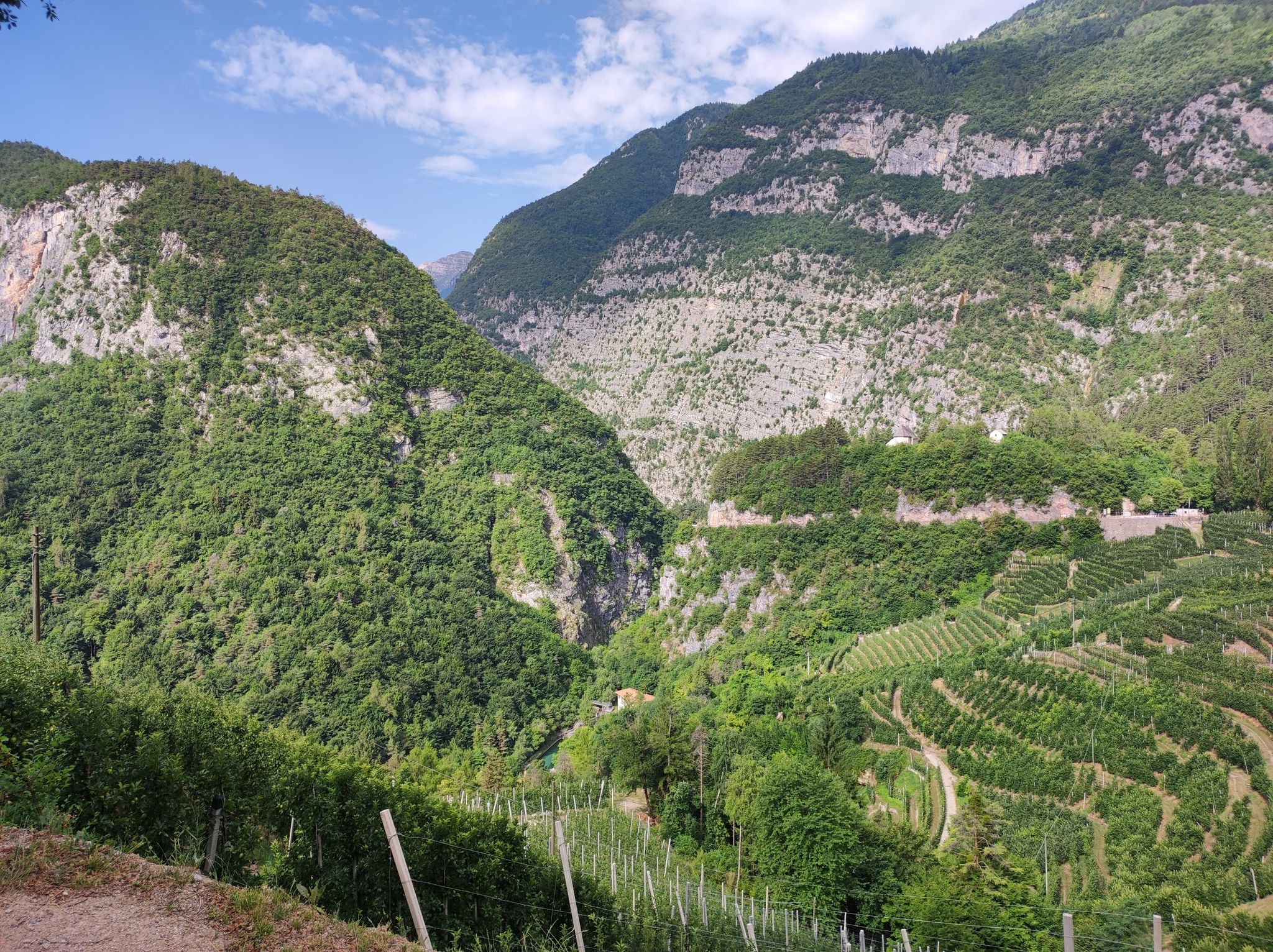 Blick ins Val di Non