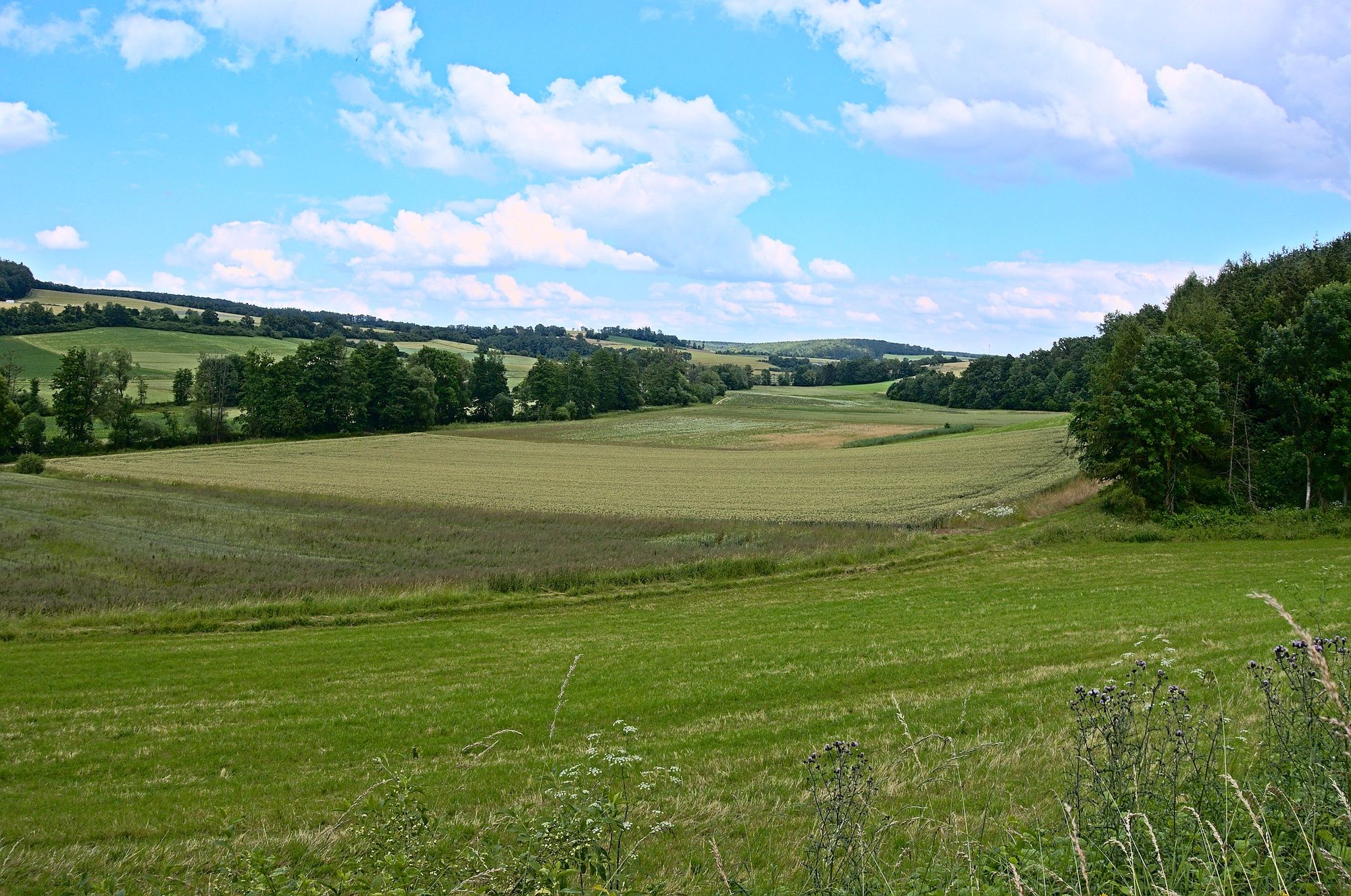 Zurück im Tal der Rauhen Ebrach