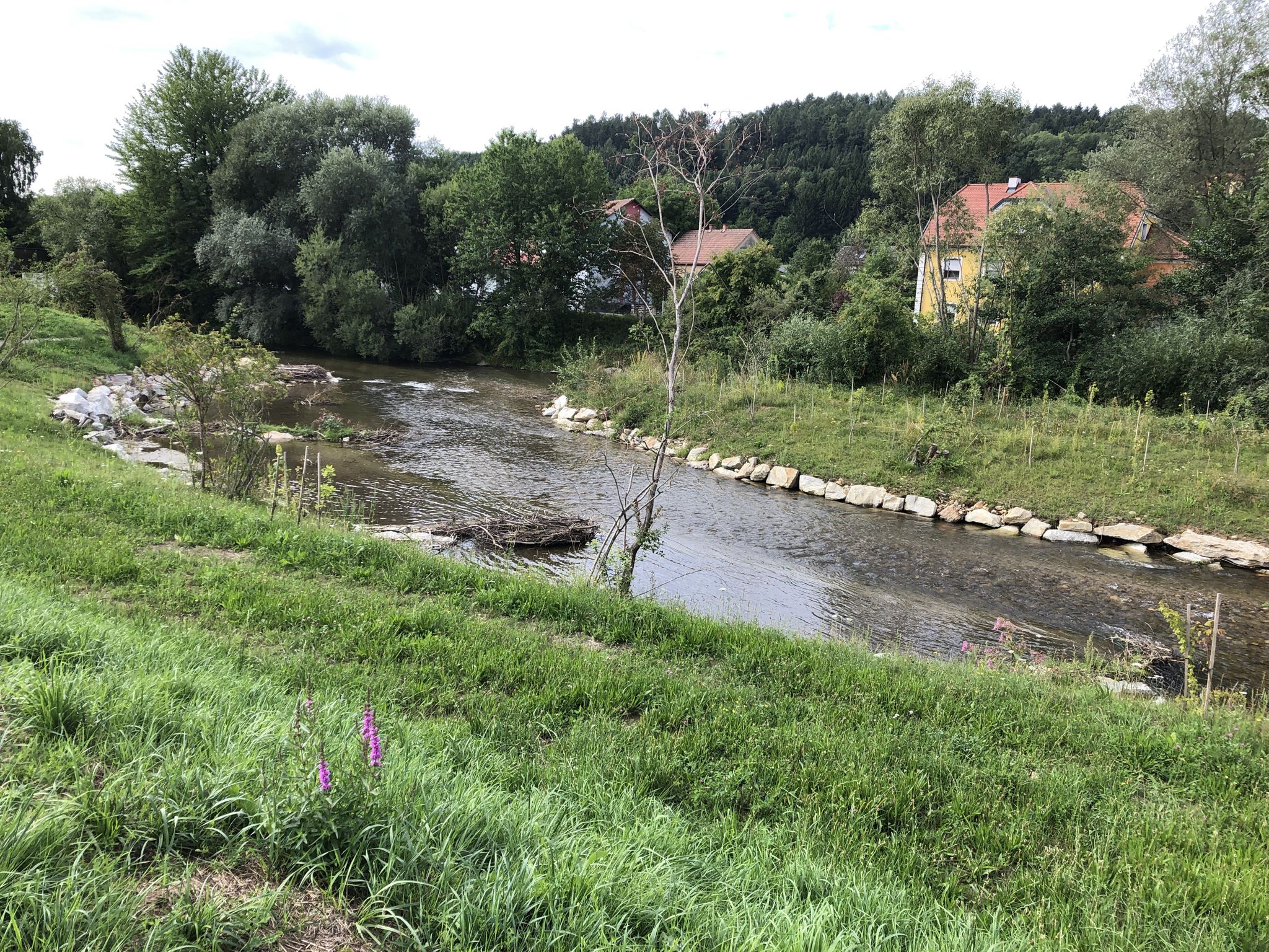die Lafnitz bei Rohrbach