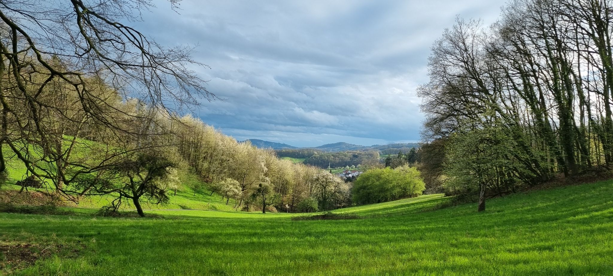 Blick bis Wachenburg