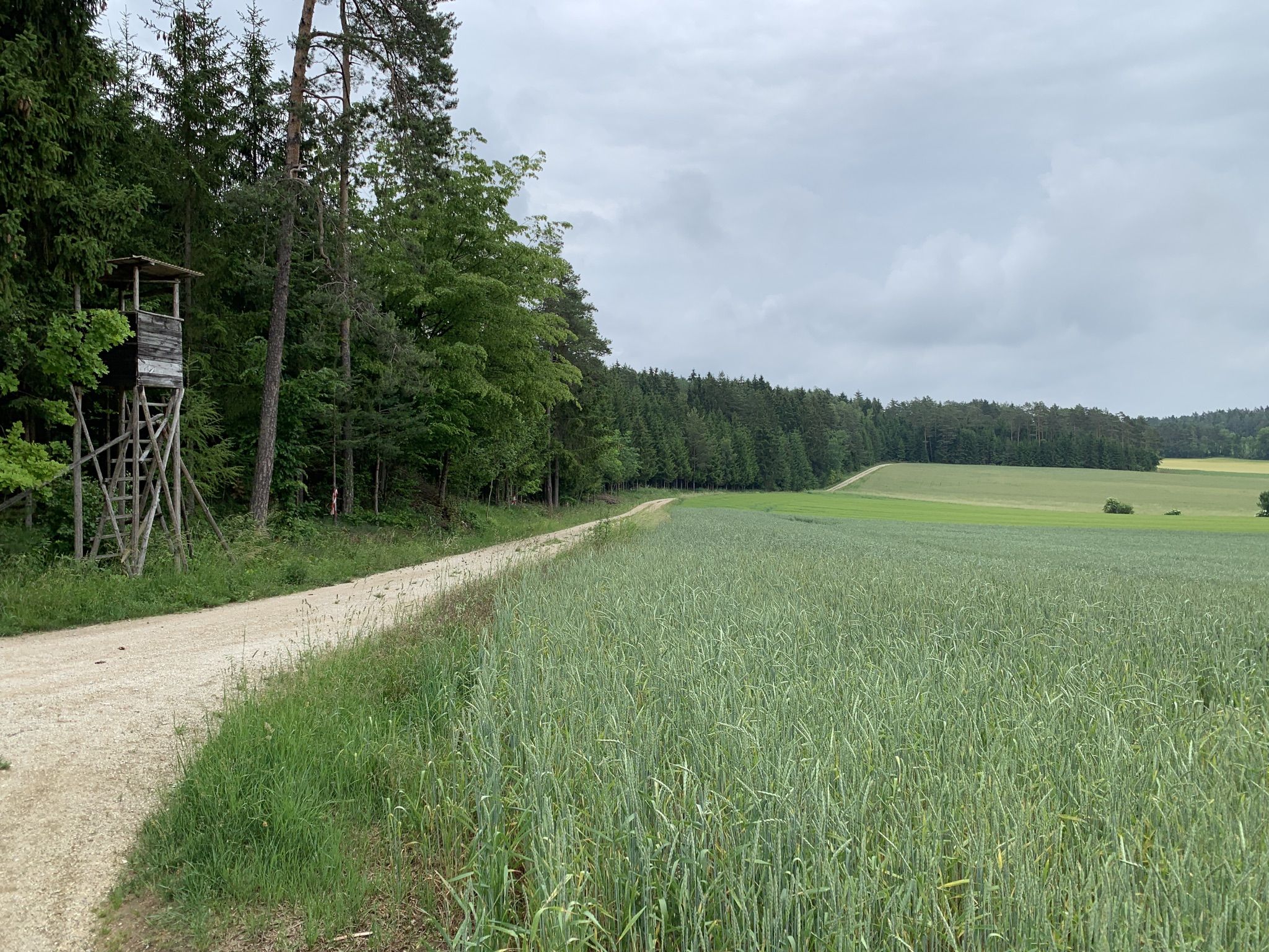 Wanderweg