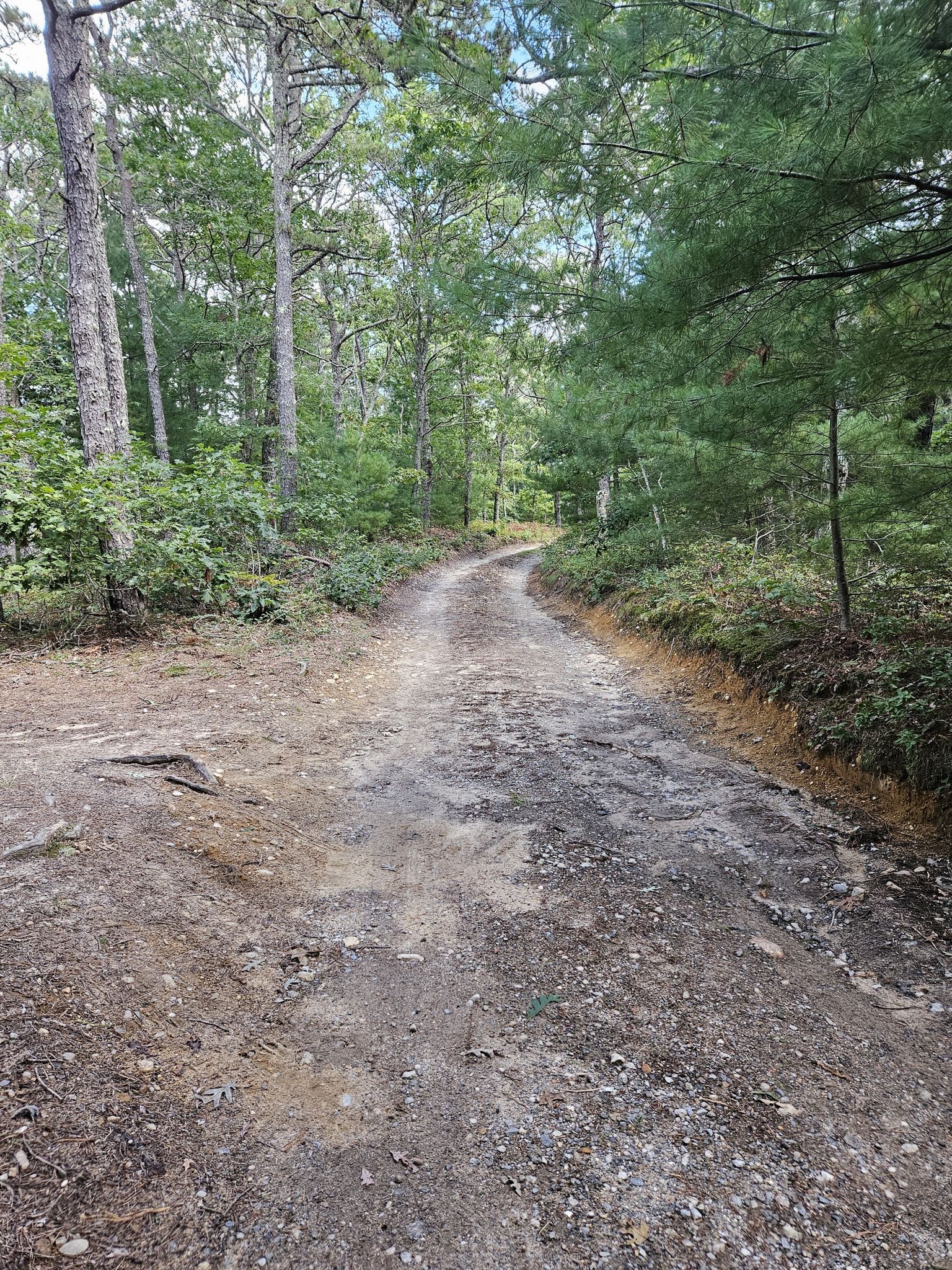 Not a road bike trail!