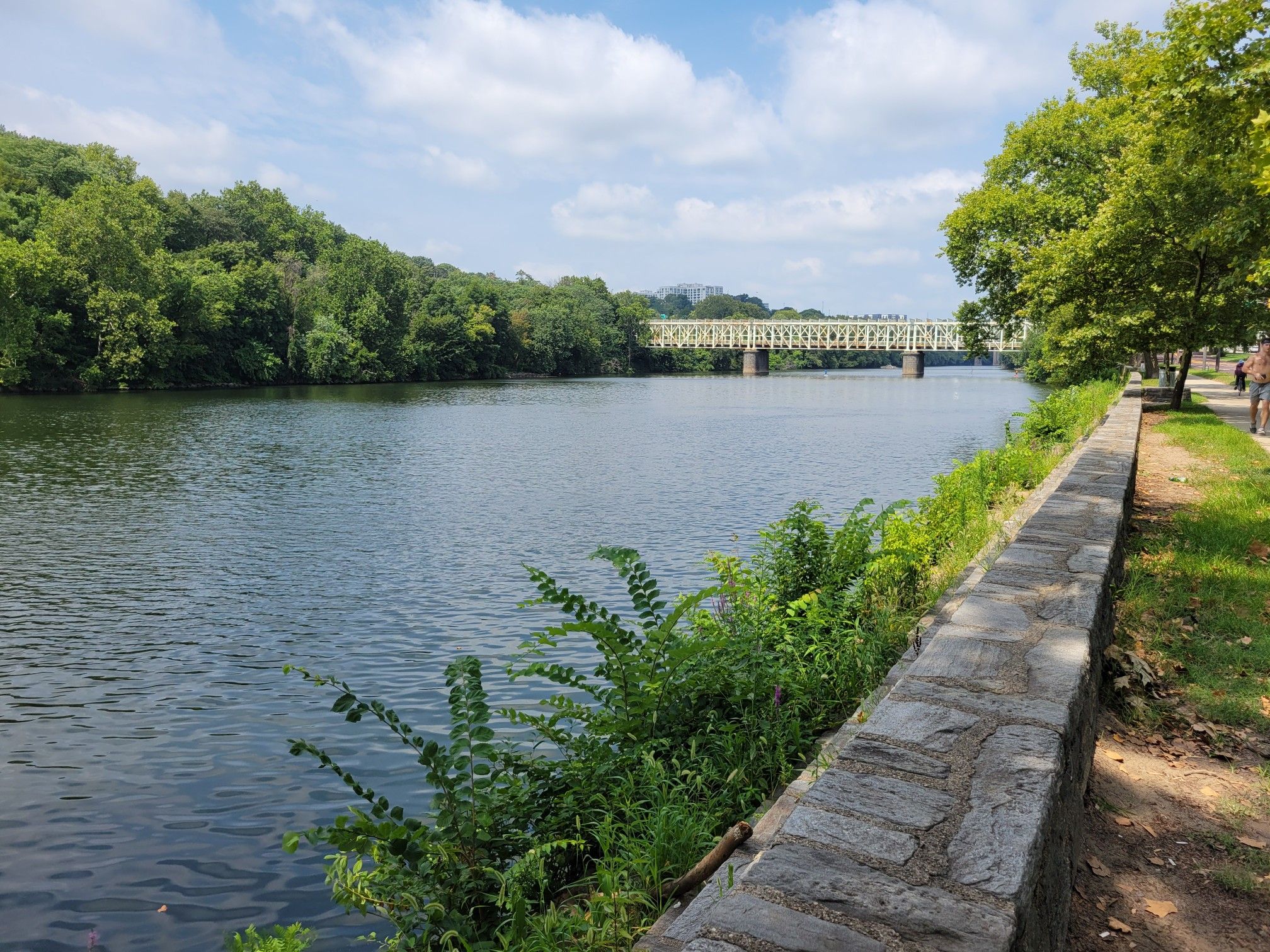 Wide river with green trees on banks, bridge in distance, sunny day. - Pennypack and Wissahickon Trails Loop