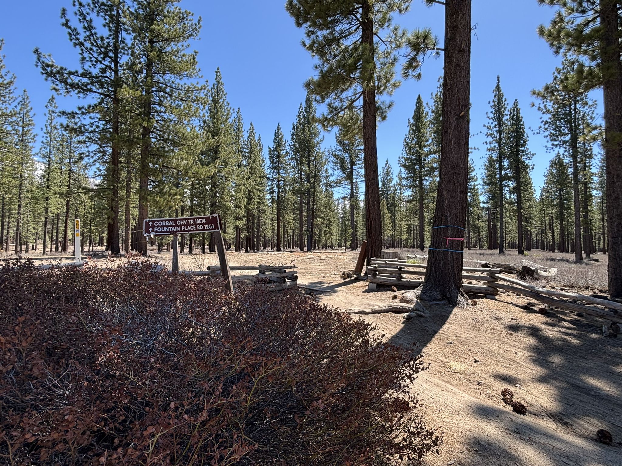 Wooden trail sign in a sunny pine forest with tall trees and clear sky. - Powerline and Corral Loop