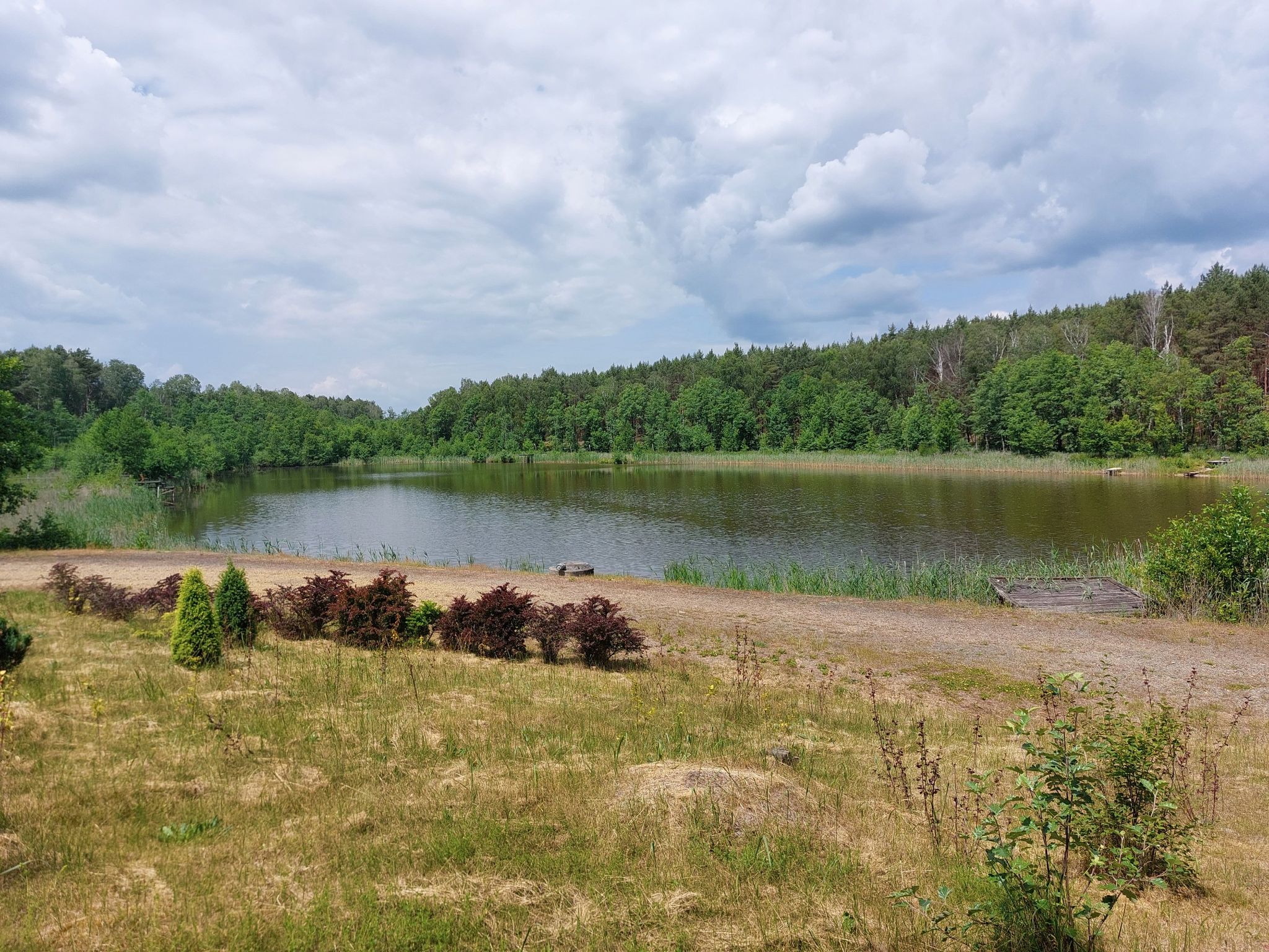 klarer Waldsee