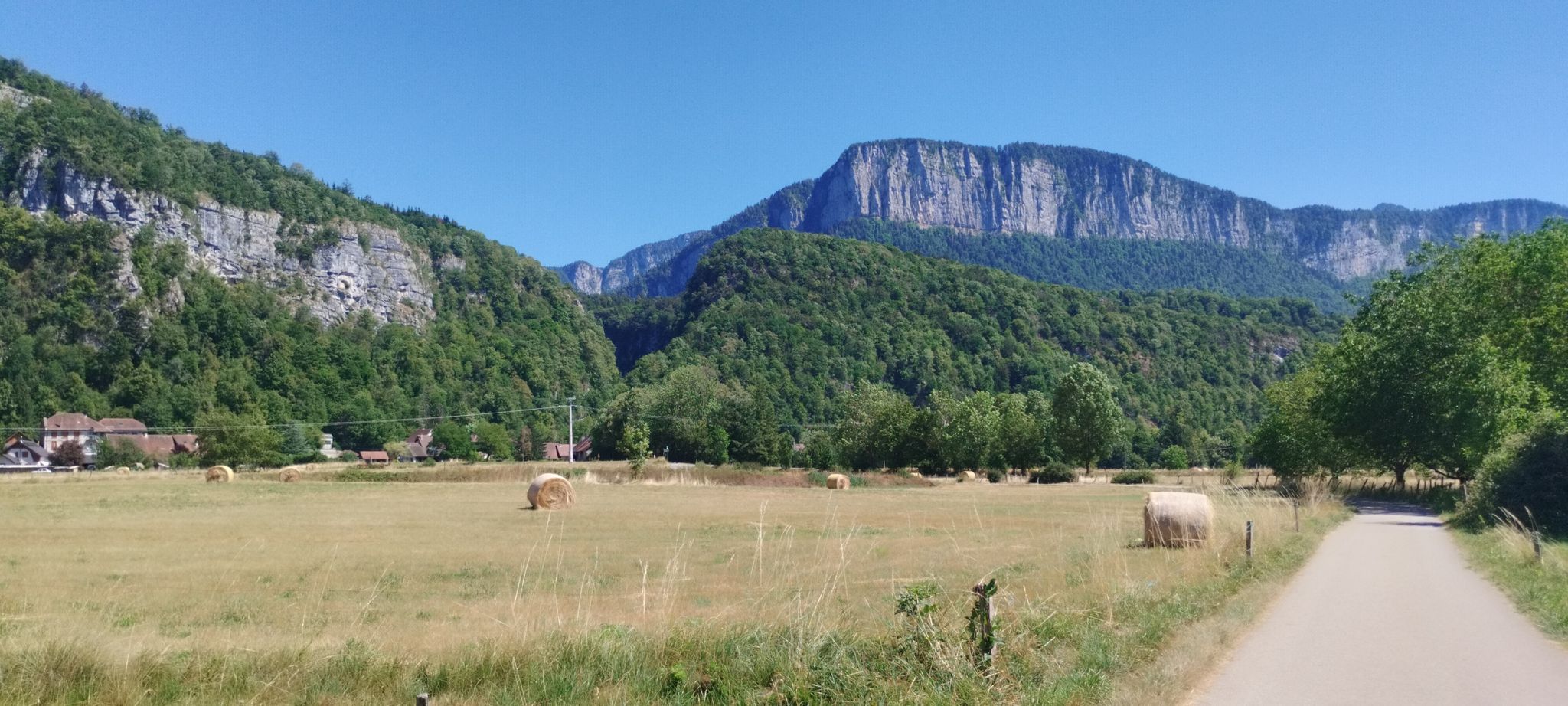 Chartreuse 