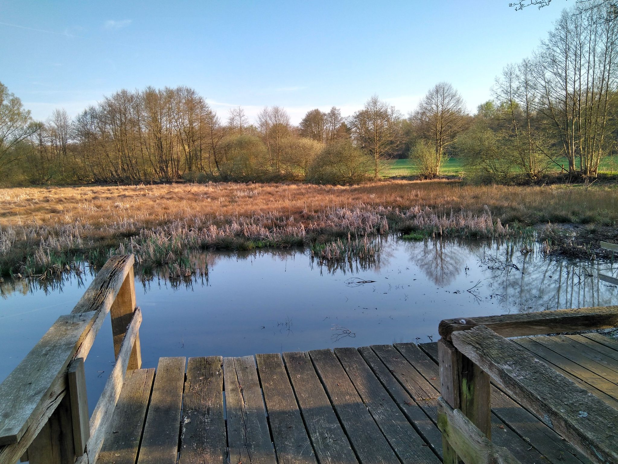 Blick in den Mühlenteich