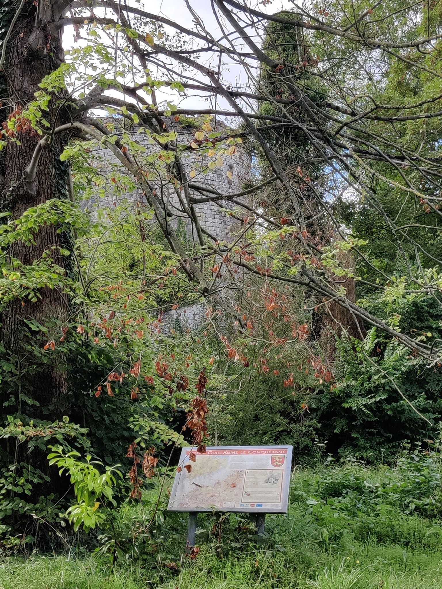 Burgfried von Chateau Langer, unzugänglich und verfallen