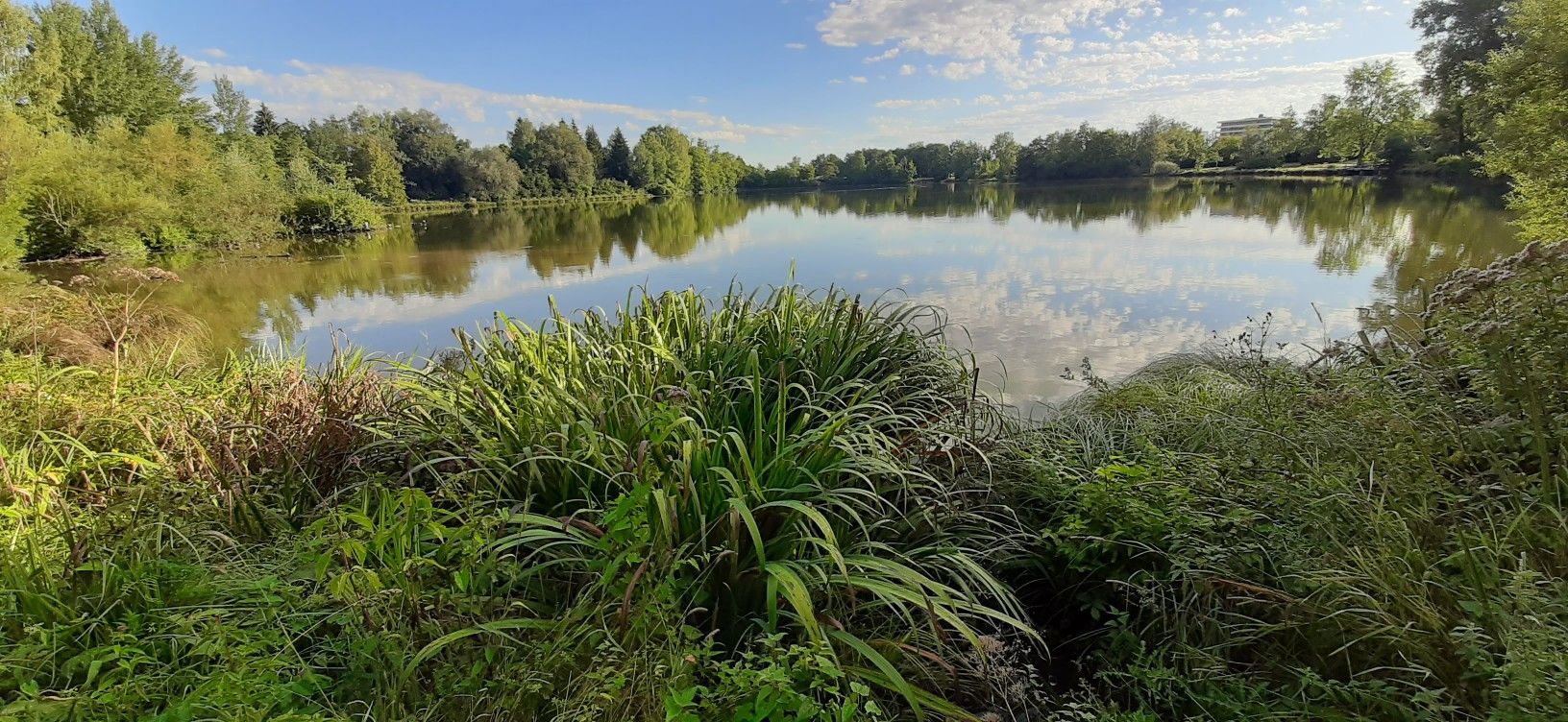 Stadtweiher Kempten