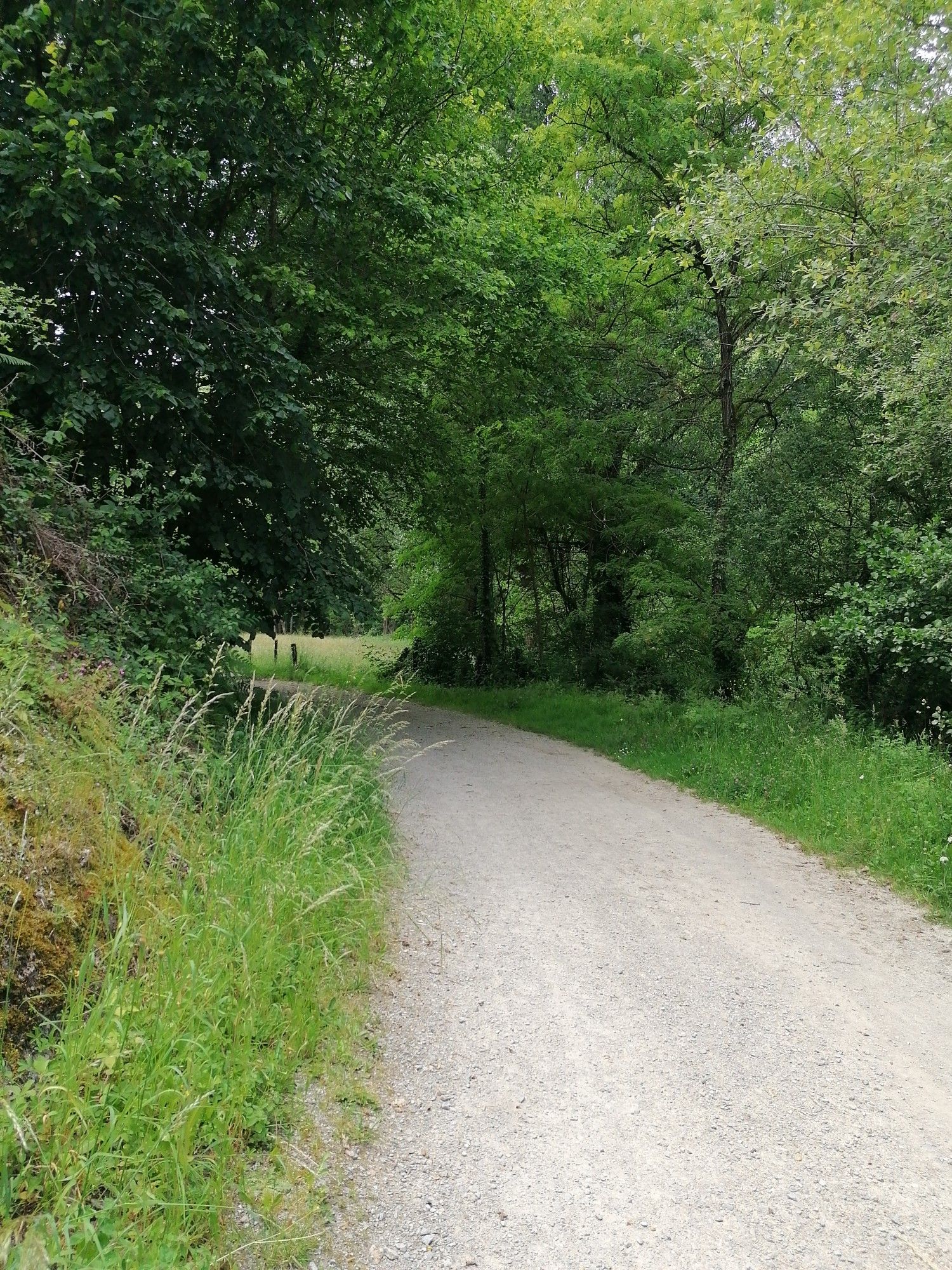 voie verte aubazine