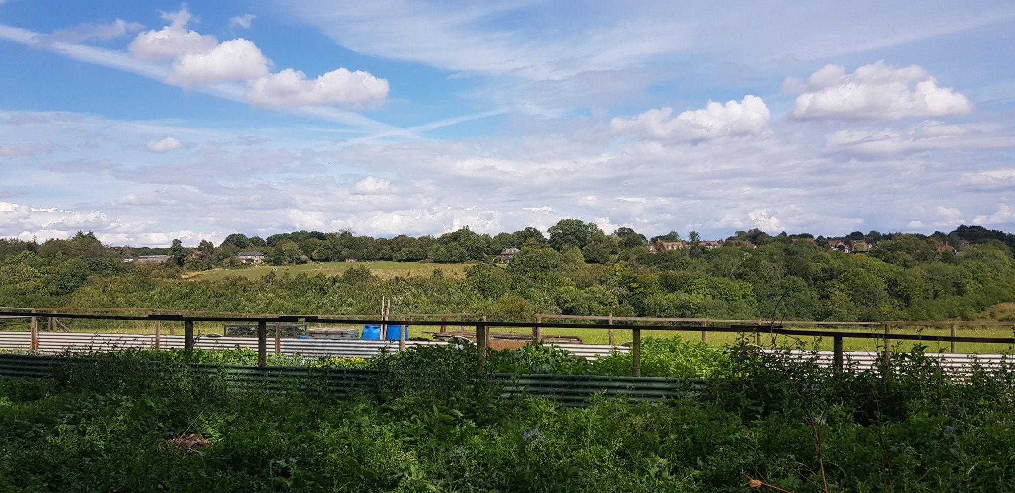allotments with a view