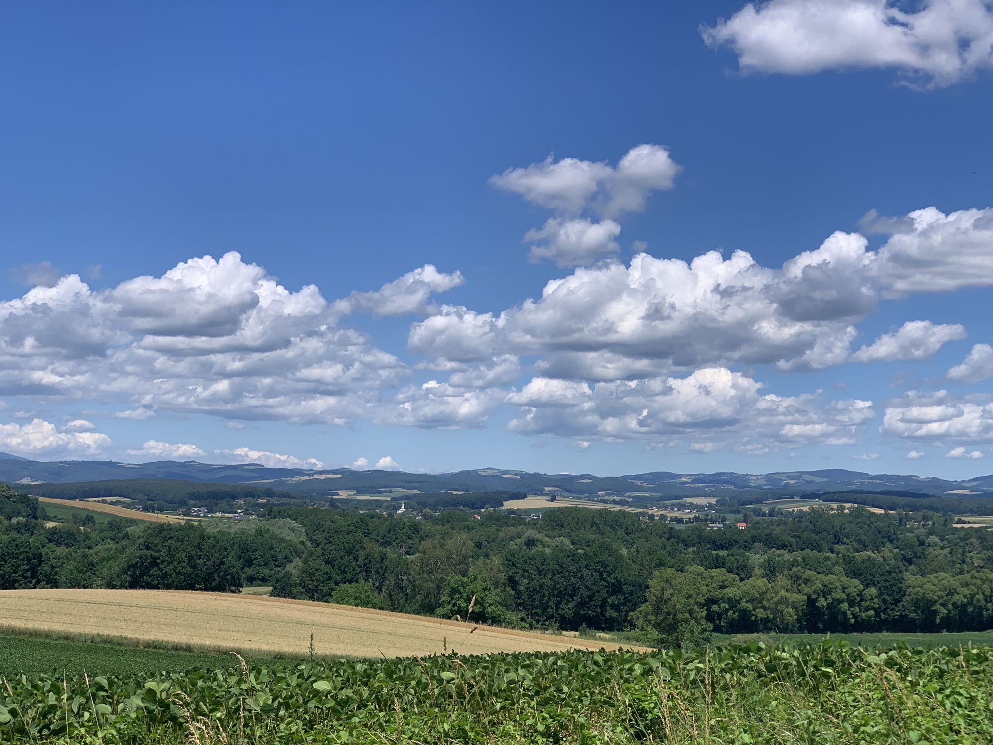Herrliche Aussicht 