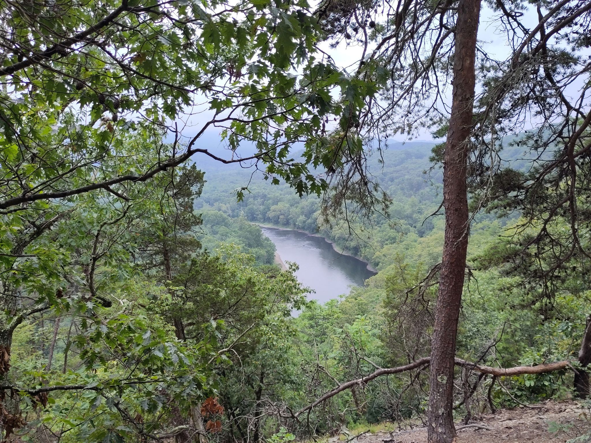 Overcast view of a river winding through a dense green forest. - Paw Paw Tunnel – Paw Paw Tunnel loop from Paw Paw Tunnel