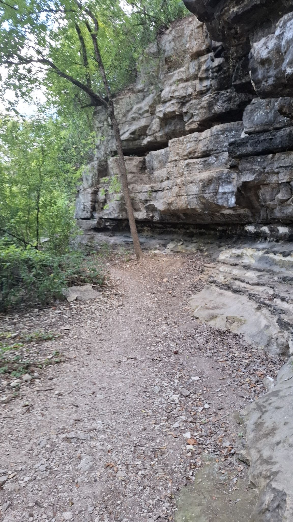 A narrow dirt path at the base of a tall, layered rock cliff. - Violet Crown Trail: 360 Trailhead to 290 Trailhead