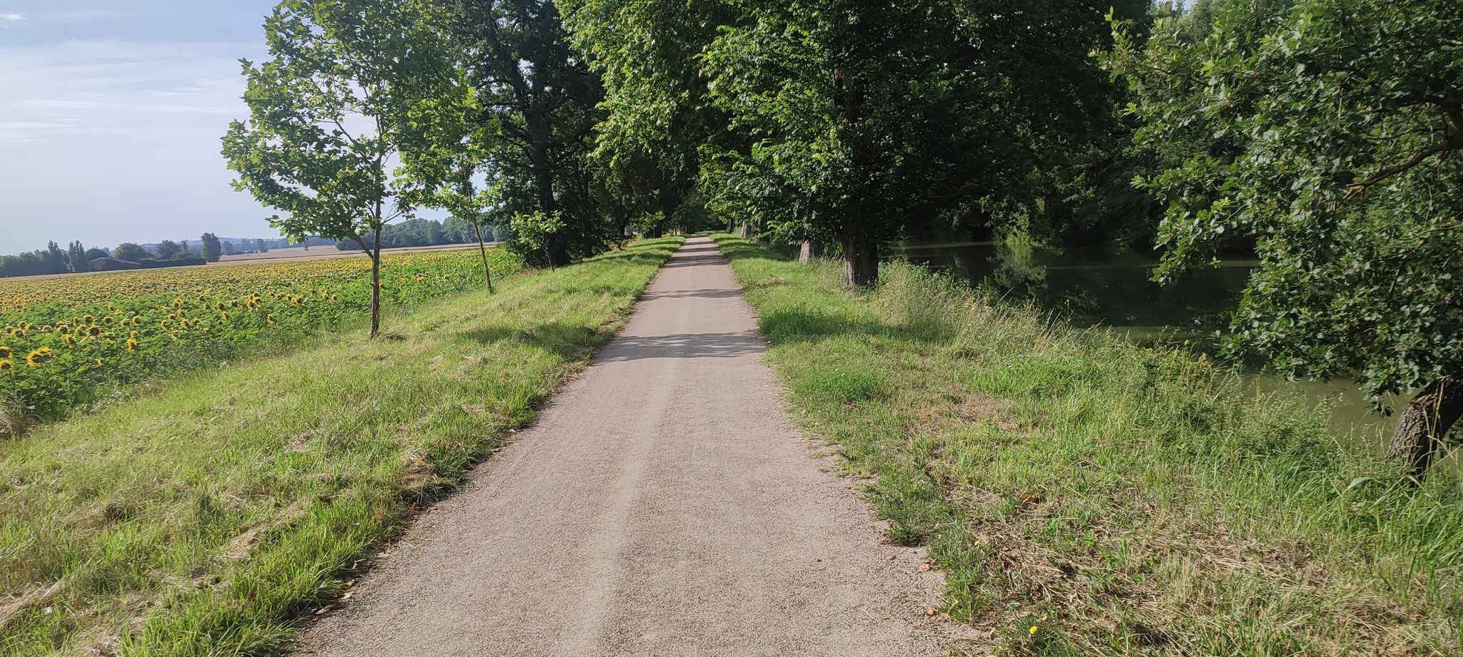 Radweg V80 am Canal du Midi