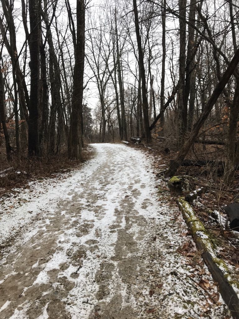 Snow-dusted path winding through a dense, bare winter forest. - Homesite, Meadows, and Ridge Trail Loop