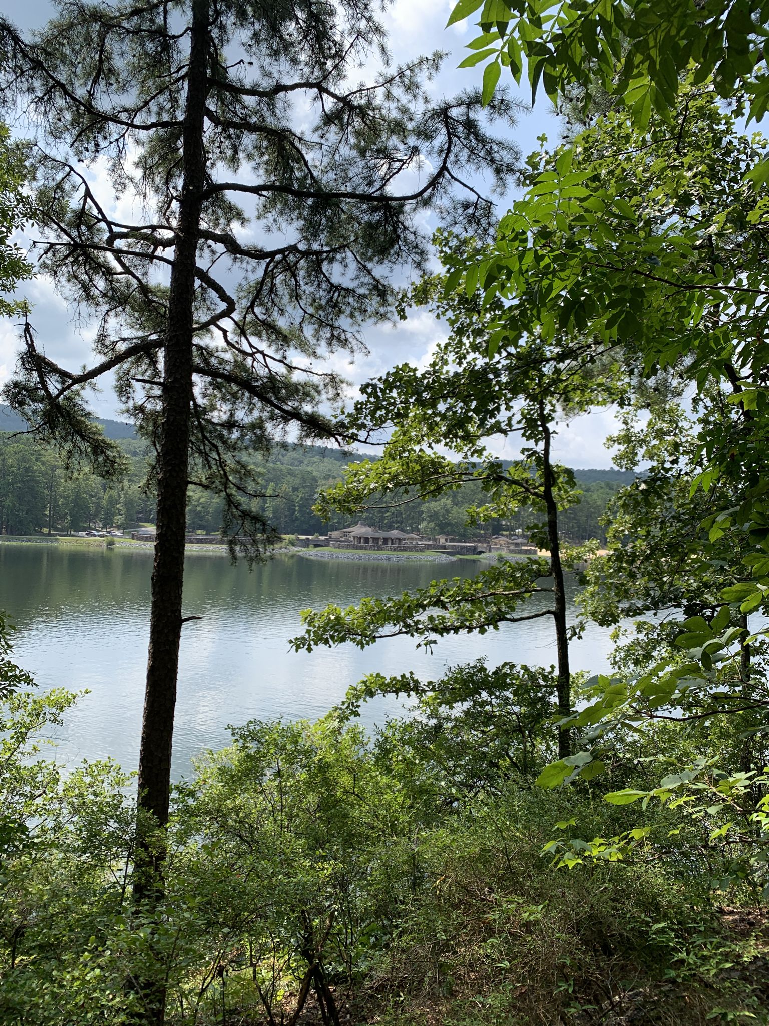 Lake and distant buildings seen through green trees on a sunny day. - Oak Mountain Lake Trail – Lake Trail Trailhead loop from South Trailhead