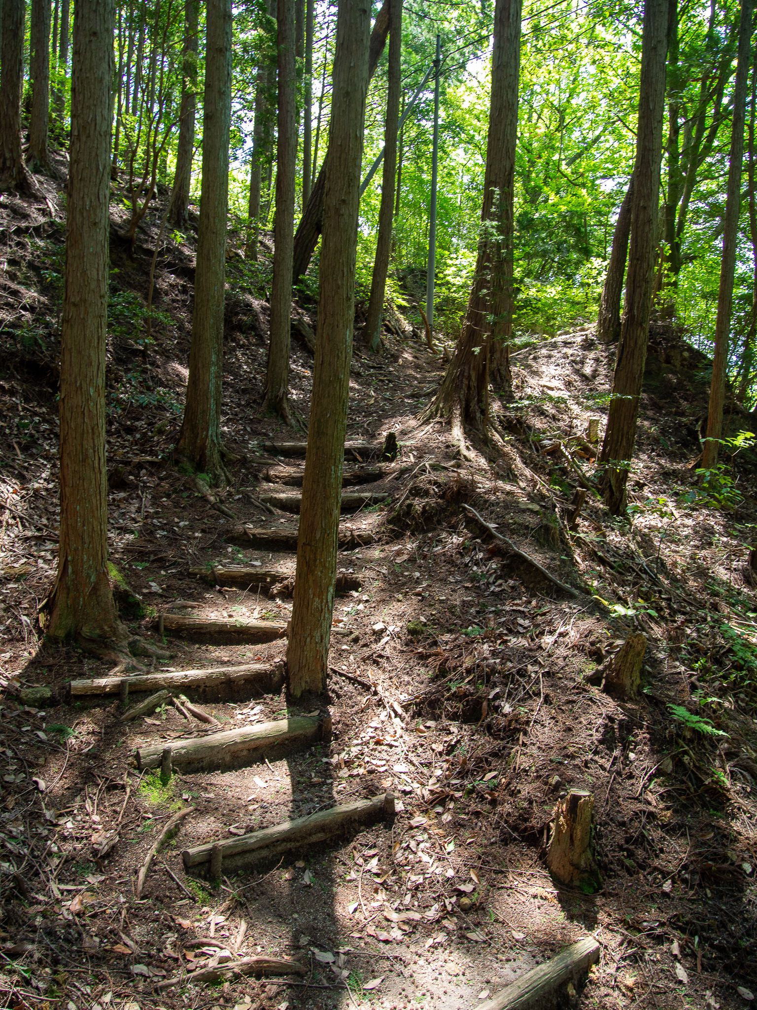 Chemin de pèlerin