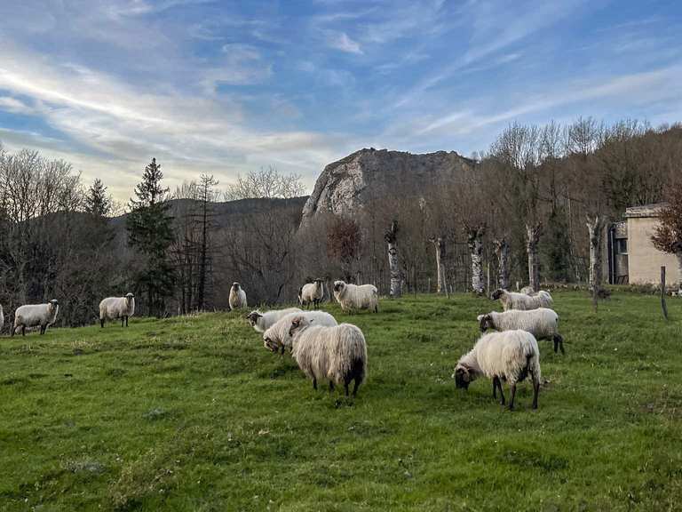 Baskische tradities en landschappen - Idiazabal kaasroute (GR 283 ...