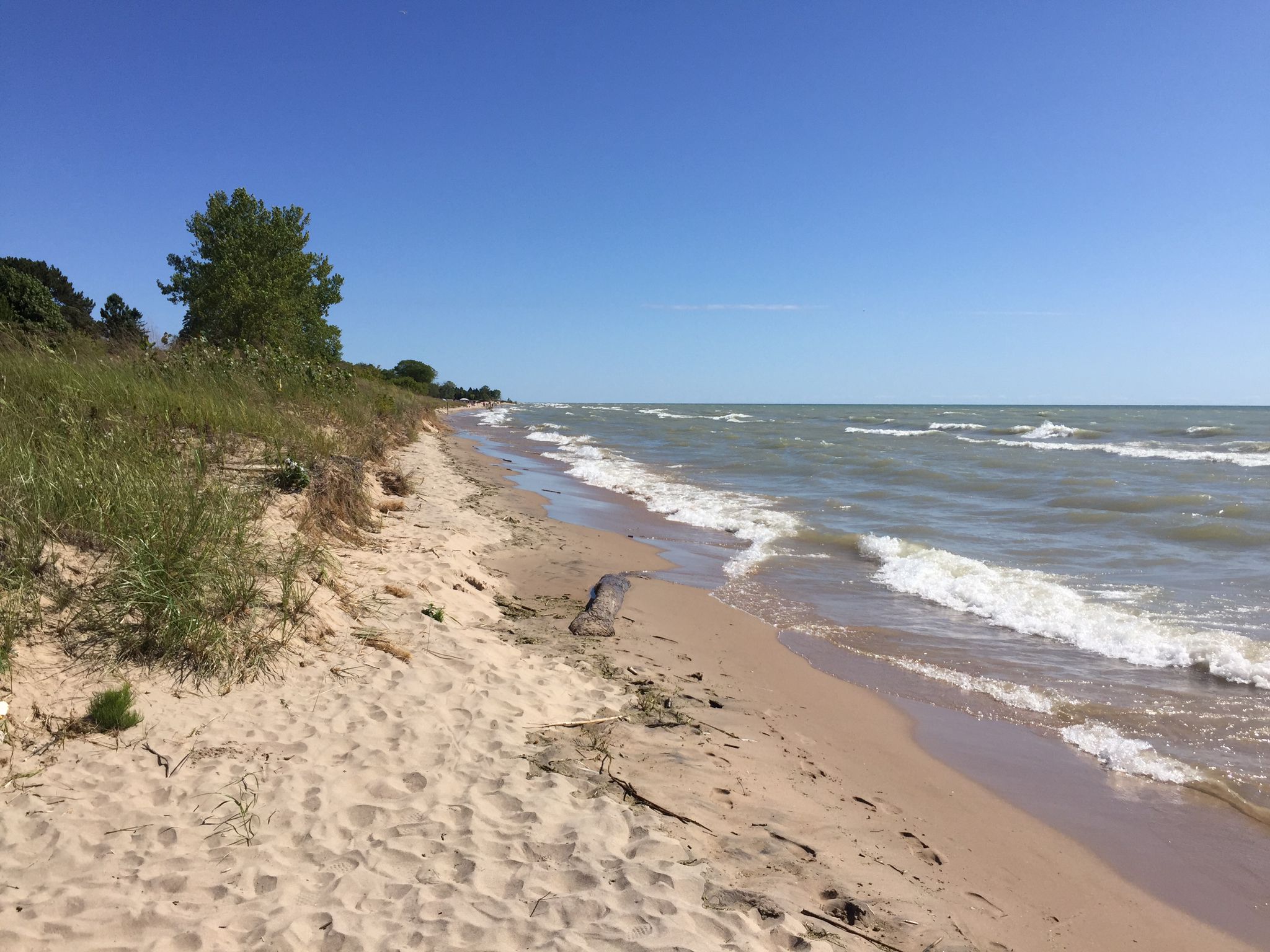 A sandy beach with waves crashing, backed by grassy dunes under a clear sky. - Twin Rivers beach – Point Beach State Forest loop from Mishicot