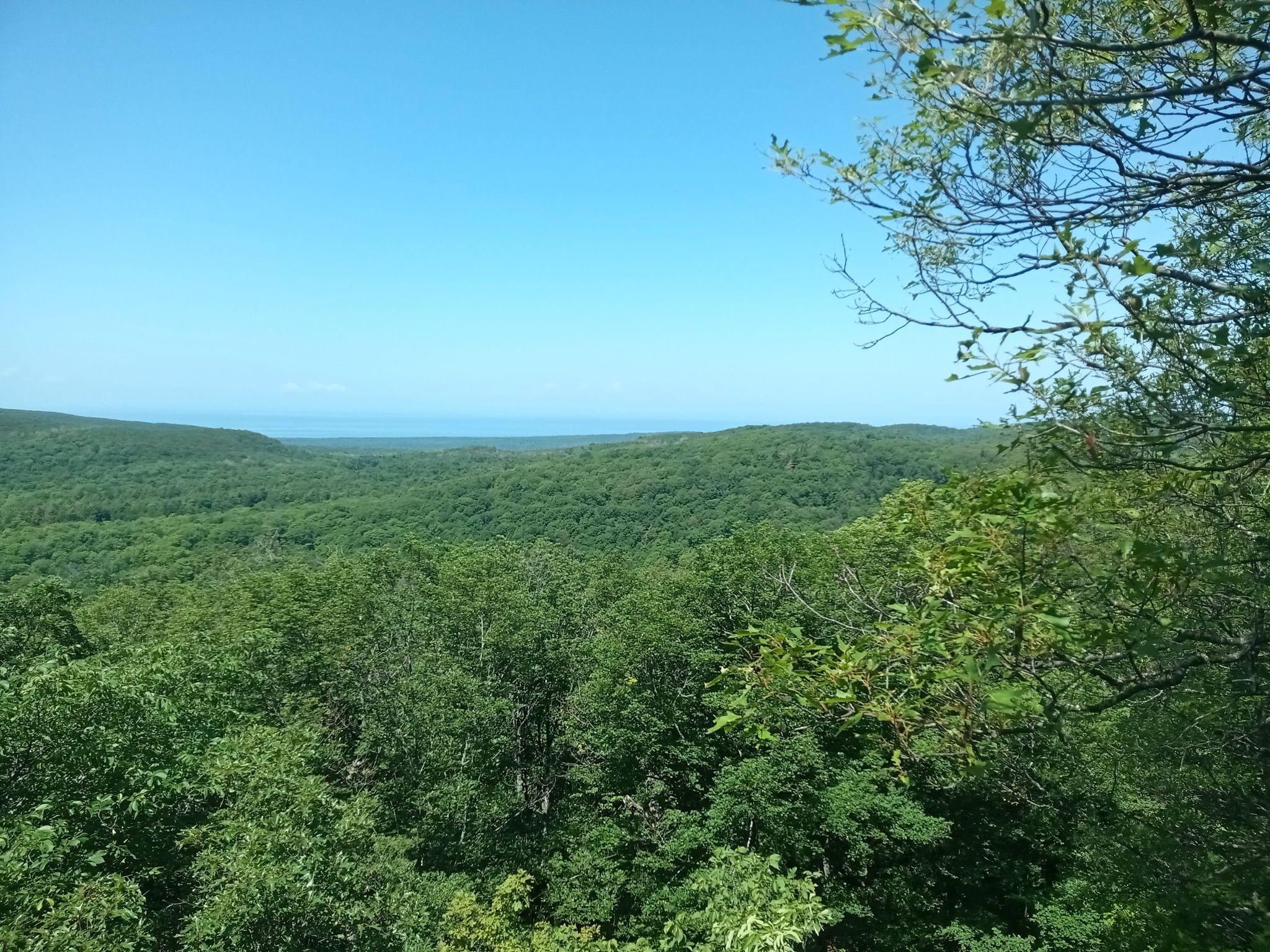 Expansive green forest canopy under a clear blue sky, distant water visible. - Summit Peak and Mirror Lake Loop