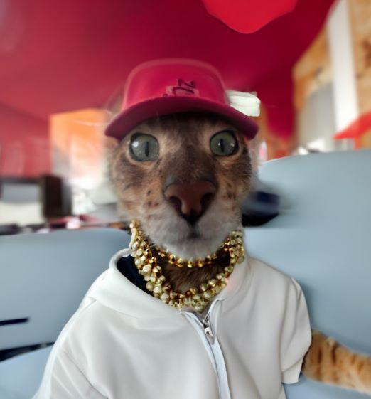 user avatar