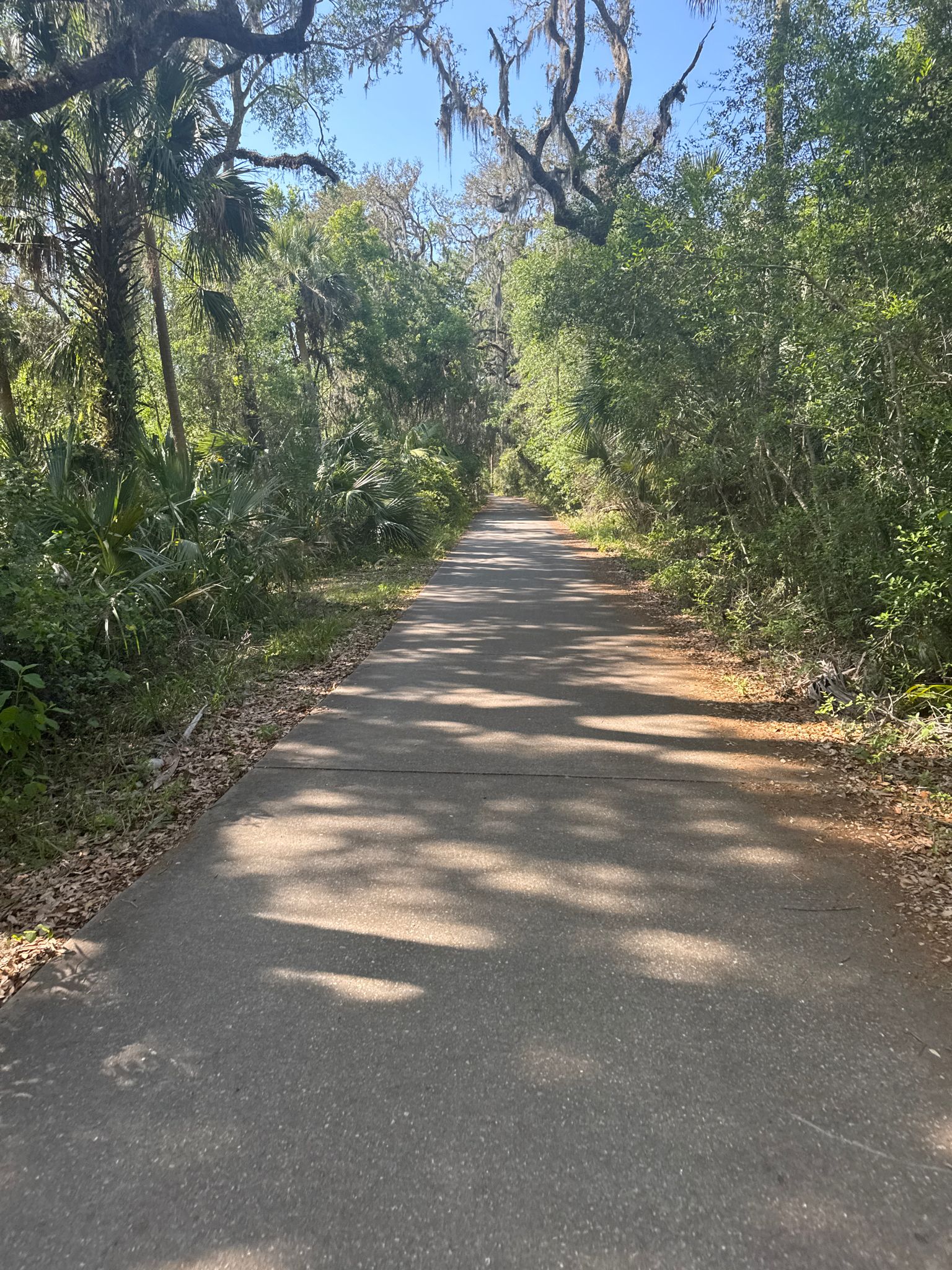 A sunny paved path surrounded by green trees and dappled shadows. - Mala Compra Hiking Trail