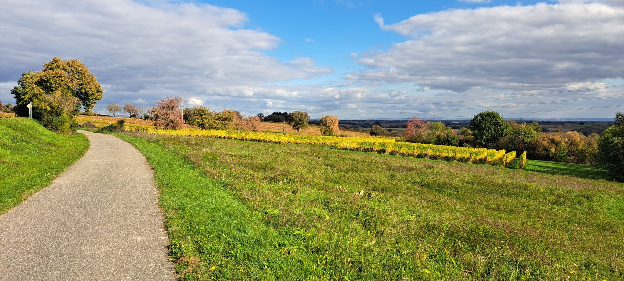Farben des Herbstes