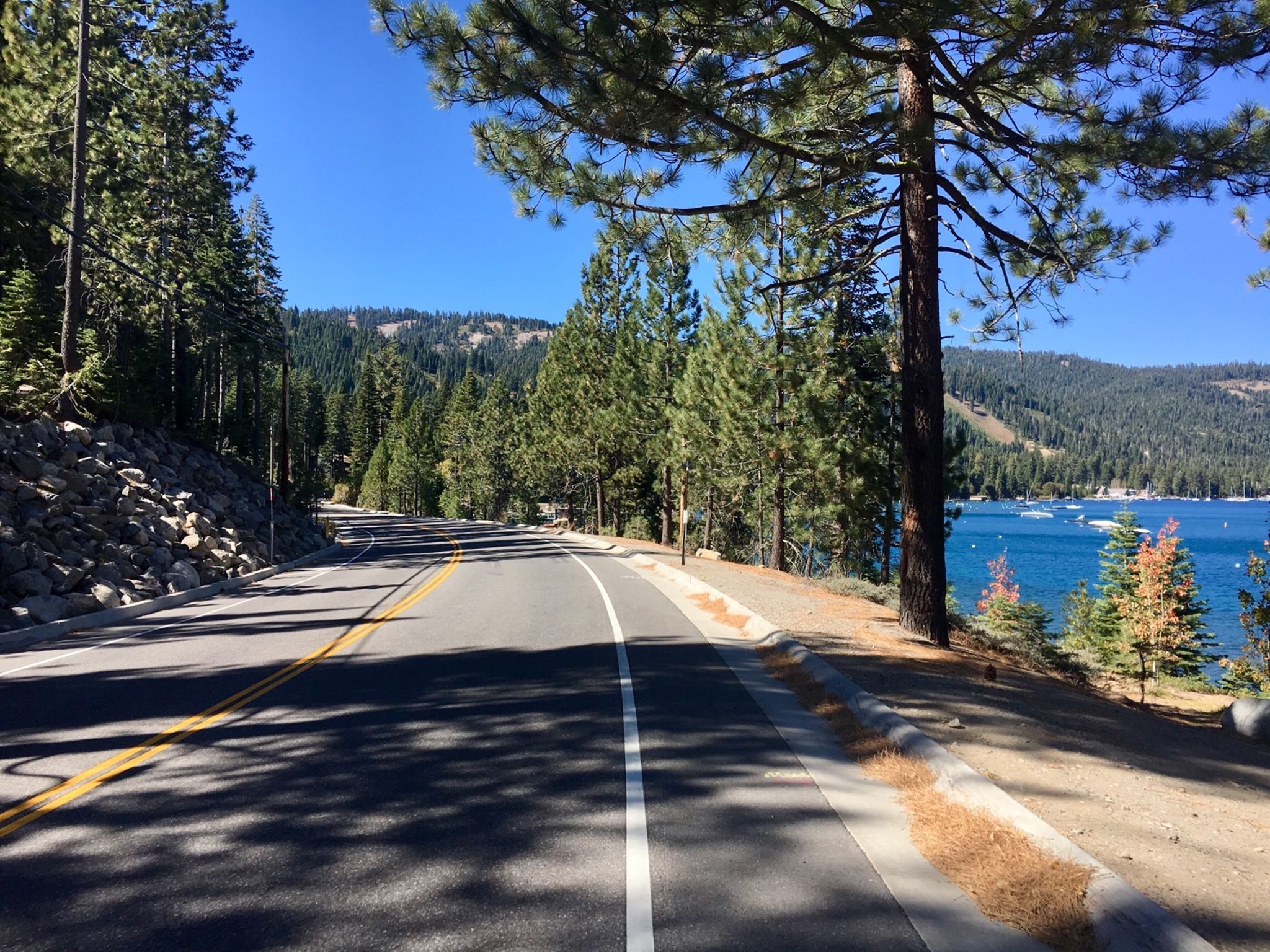 Sunny road curves alongside a blue lake with many pine trees. - West Shore Bike Path