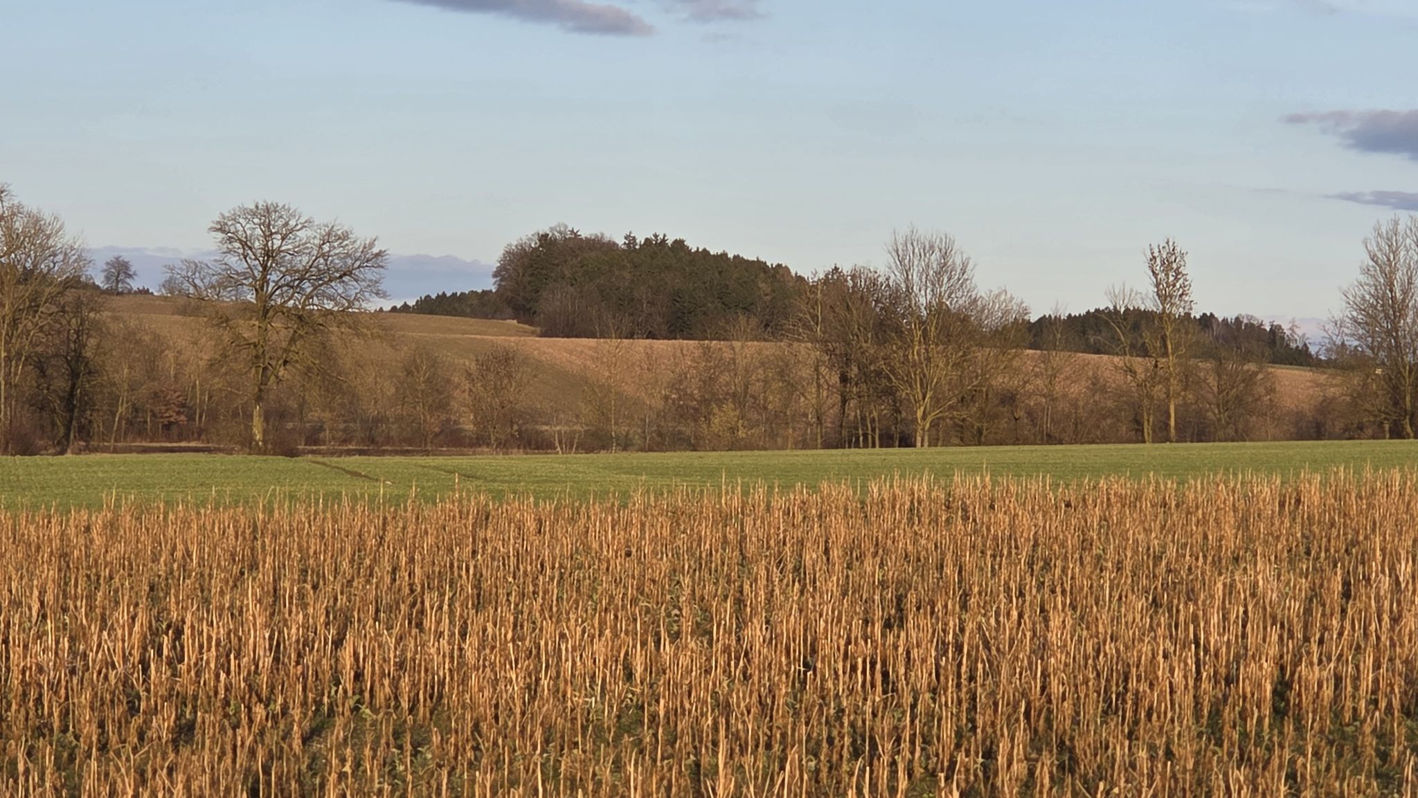 Am Radweg in Mank
