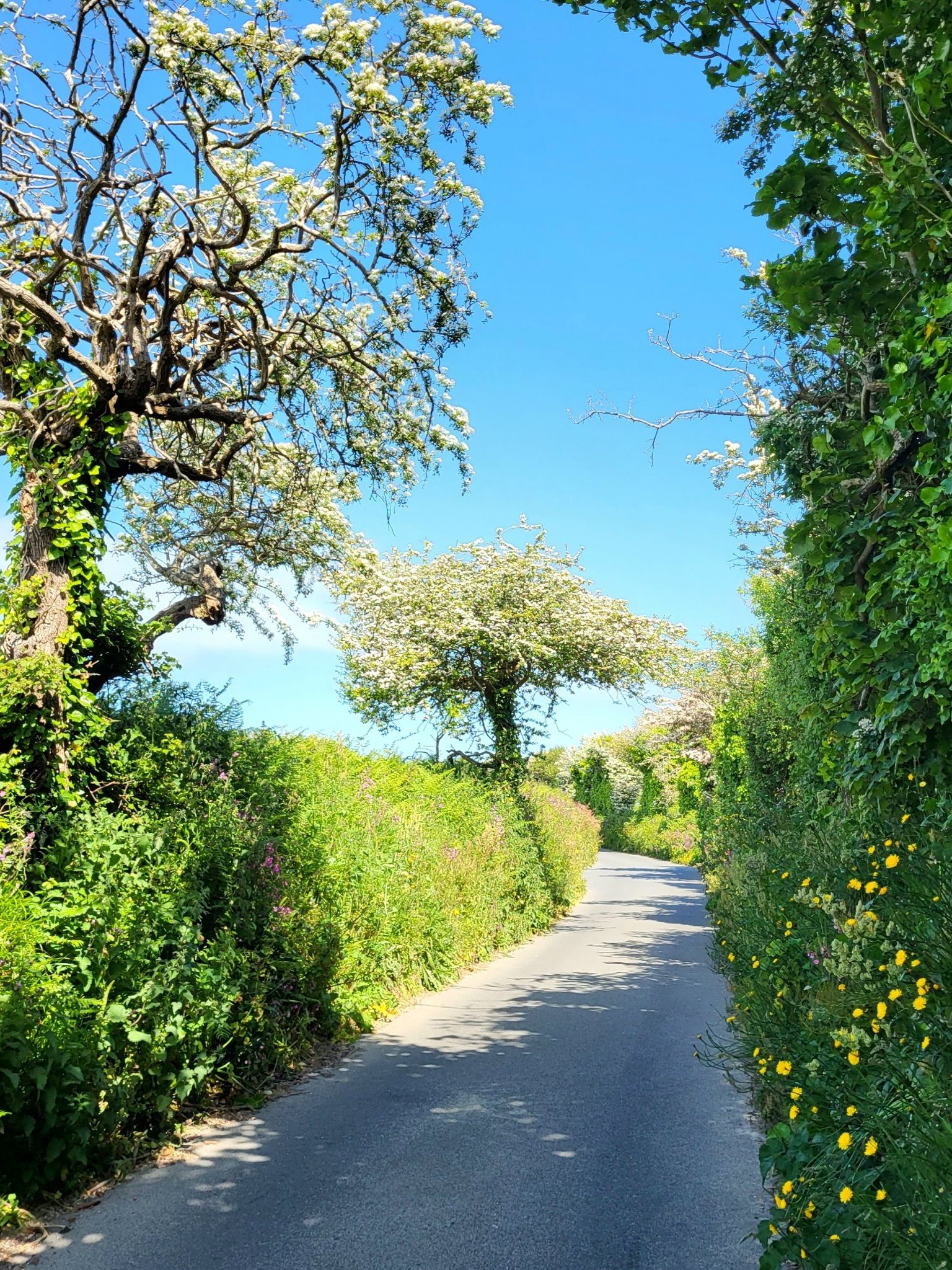 Wunderbares Fahr-Sträßchen