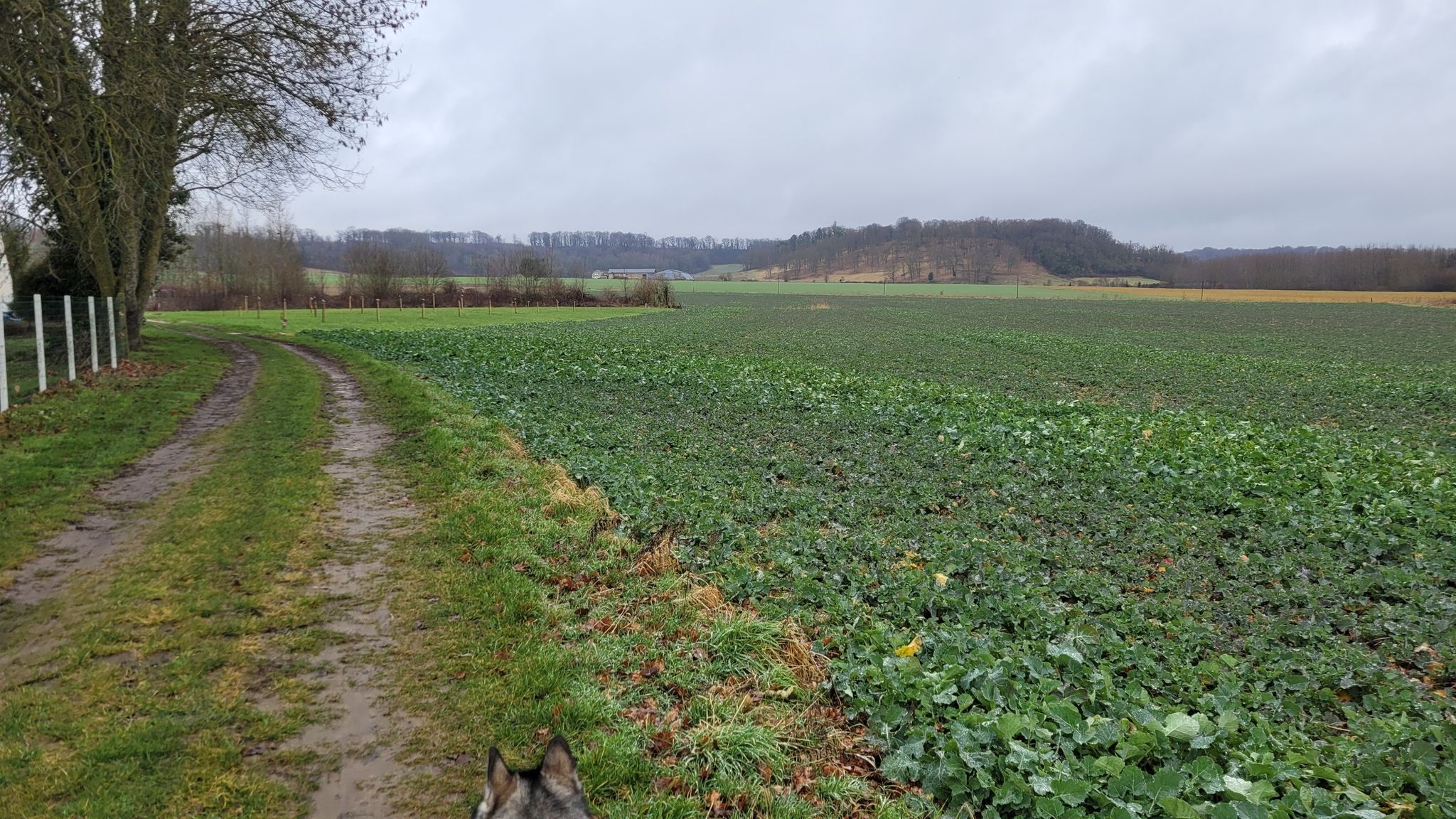 Dans les contre fort laonnois