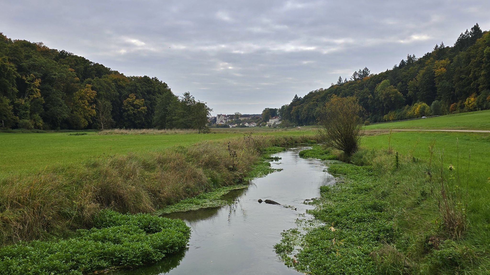 Im Schambachtal
