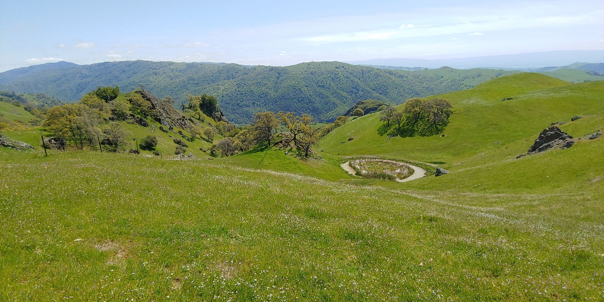 Lush green rolling hills with a small pond under a clear sky. - Rose Peak From Sunol