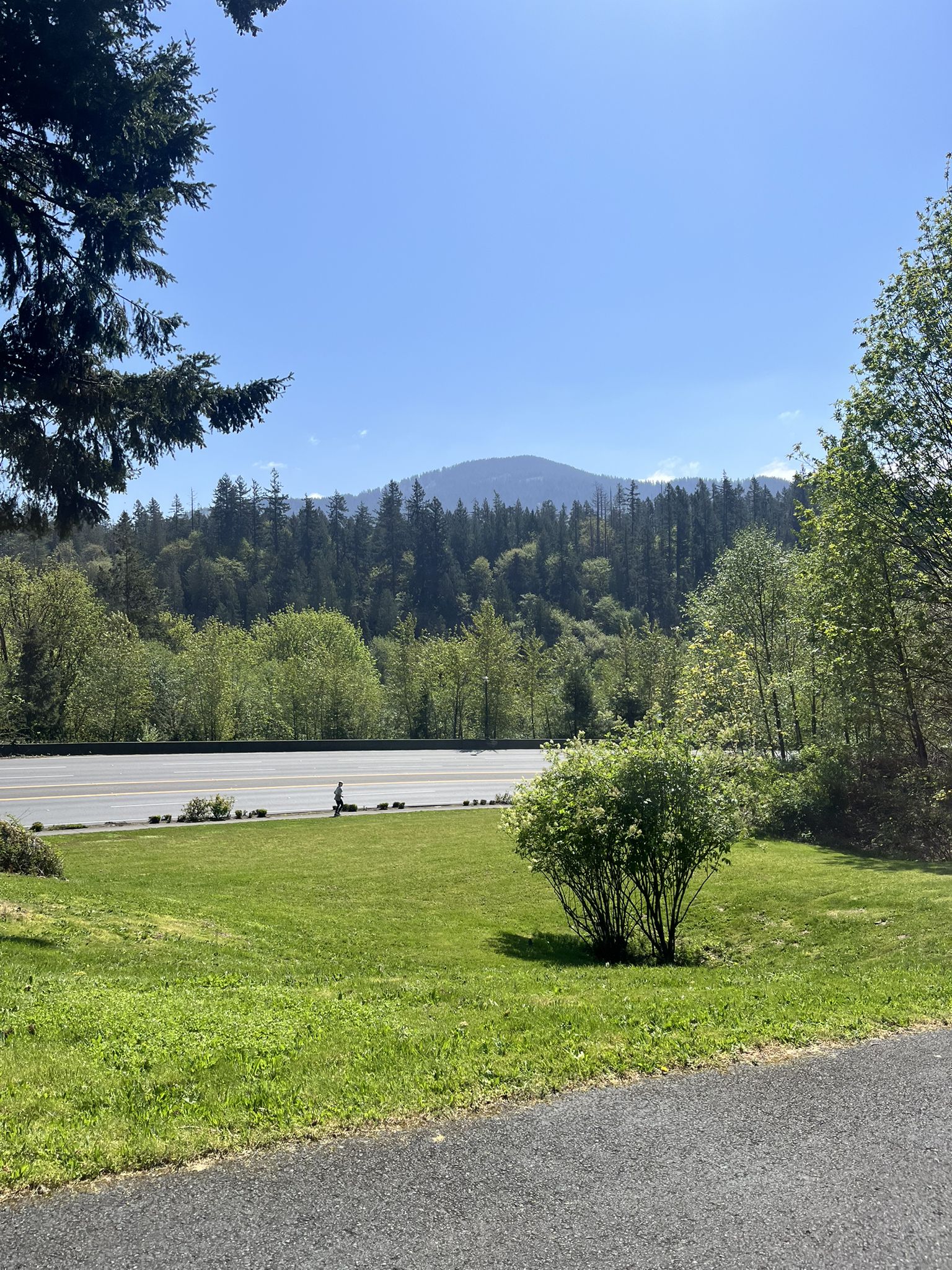 Sunny day with green grass, a road, and a distant forested mountain. - Seven Summits of the Issaquah Alps loop