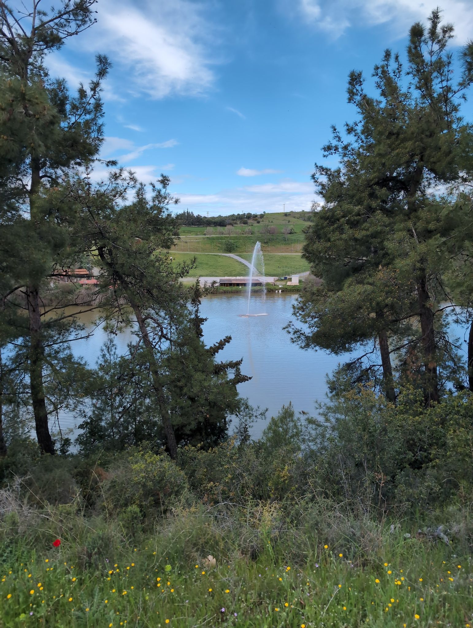 Blick auf den See