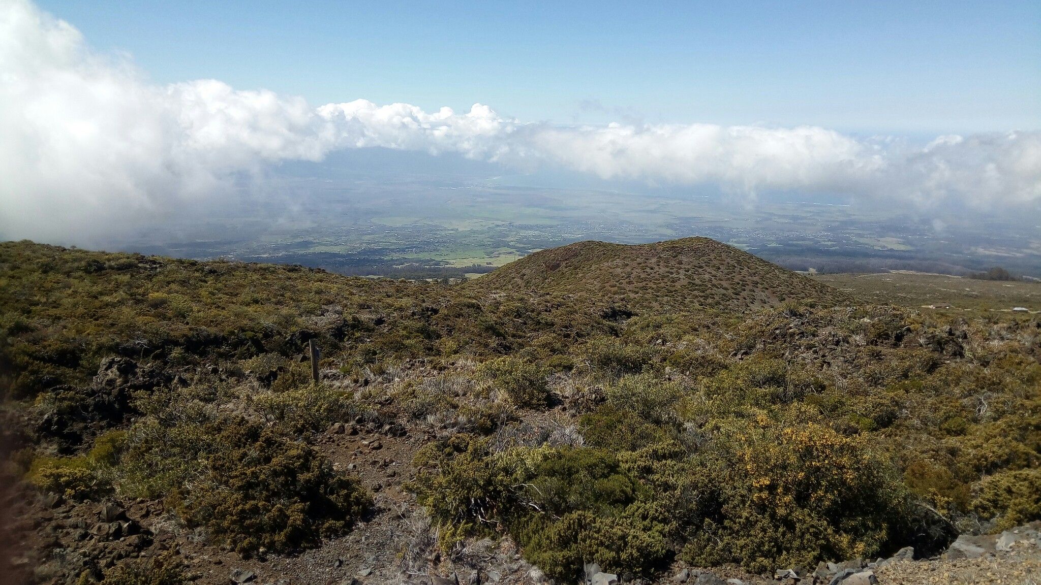 Rocky, vegetated volcanic landscape with clouds below and a distant green valley. - Halemau‘u (Switchback) Trailhead – Crater Road loop from Hula Sandalwoods Cafe and Inn