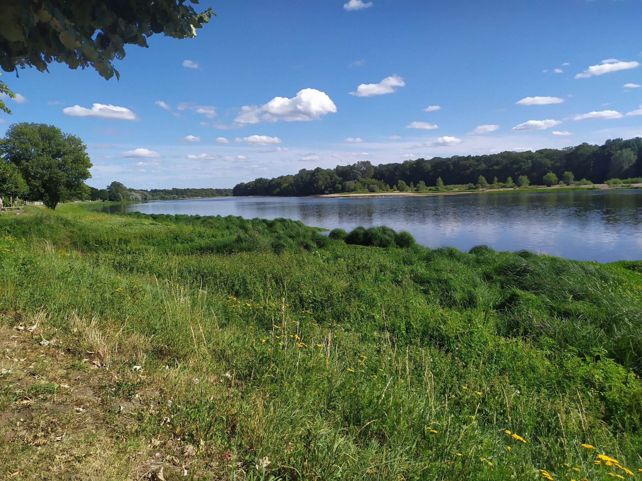 de Loire