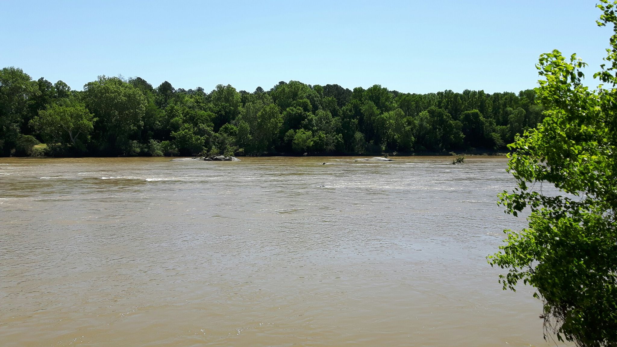Wide muddy river with distant boat and kayakers, surrounded by green trees. - Three Rivers Greenway Trail
