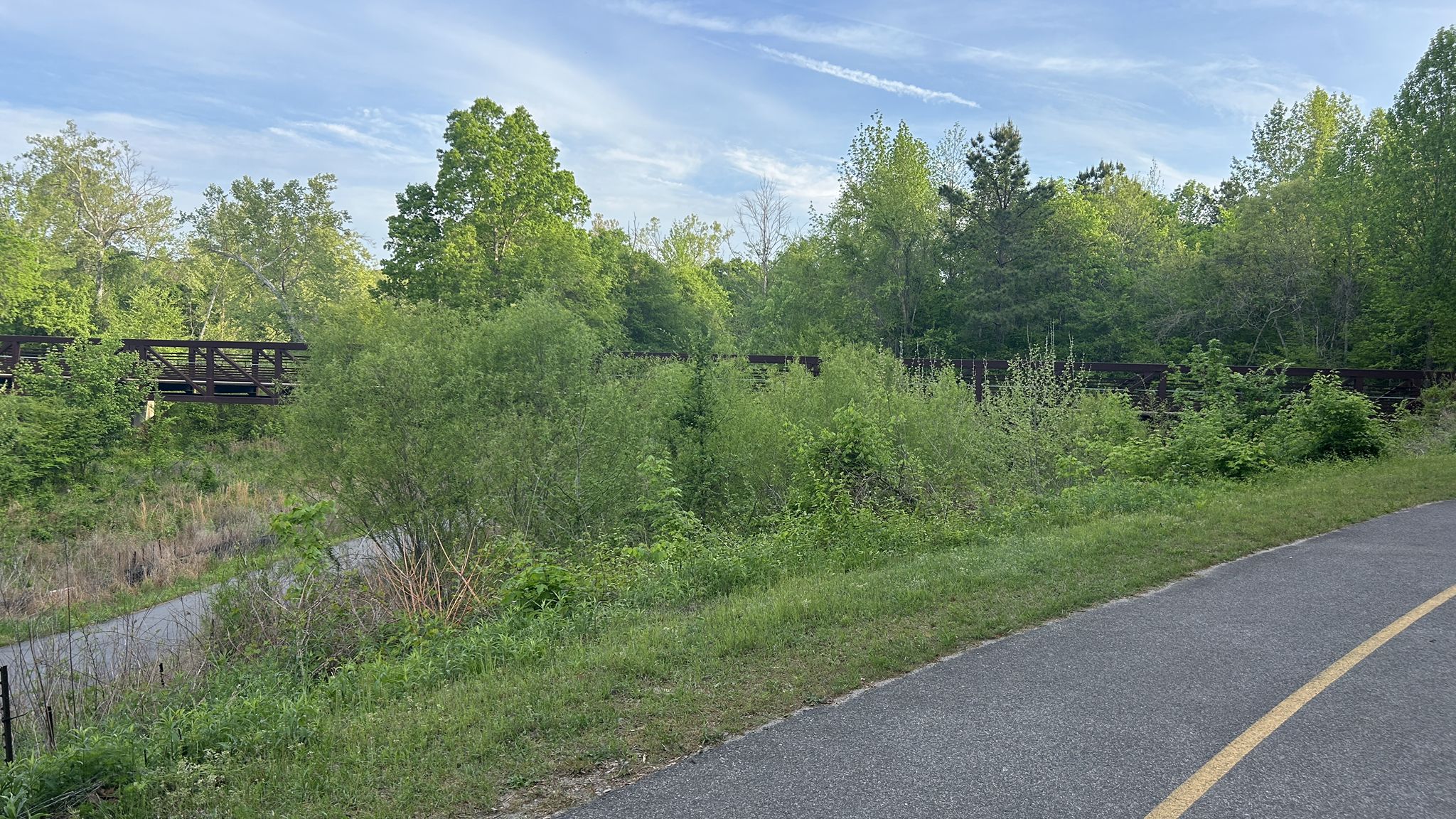 A paved path runs alongside green bushes with a distant bridge. - Neuse River Trail loop from Horseshoe Park