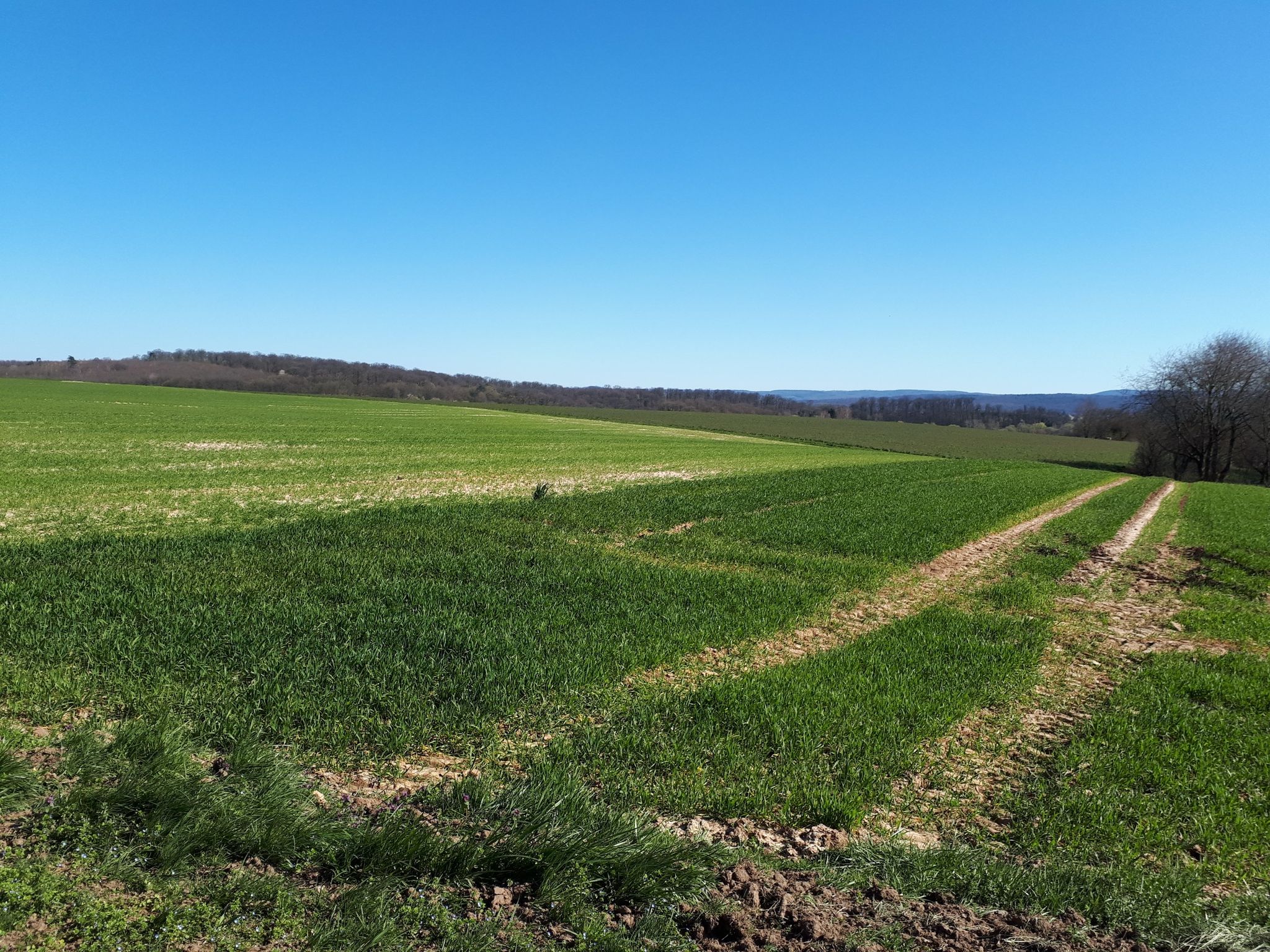 Ausblick 1