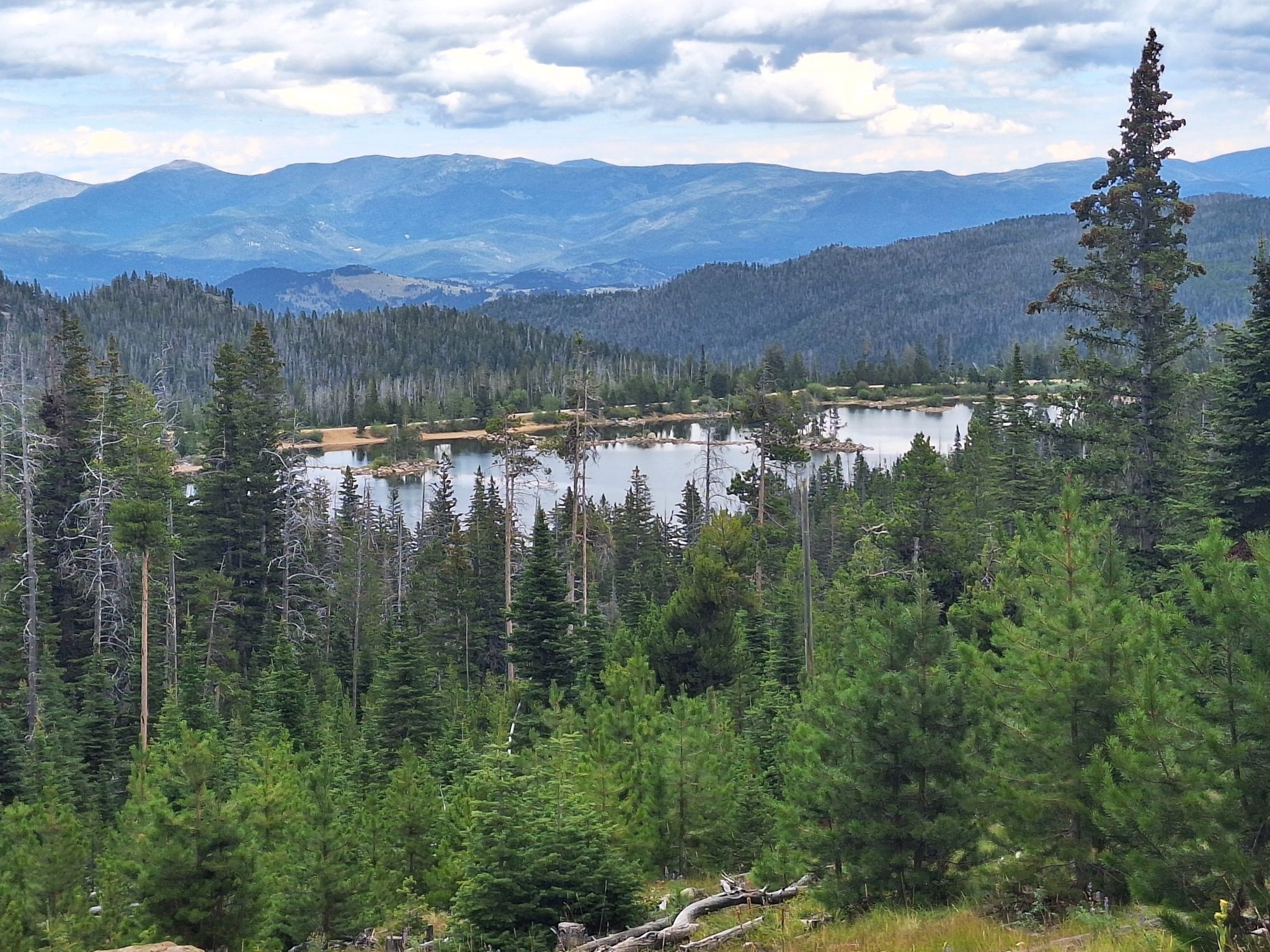A serene lake surrounded by dense pine forests with mountains in the background. - Great Divide - Park Lake Loop