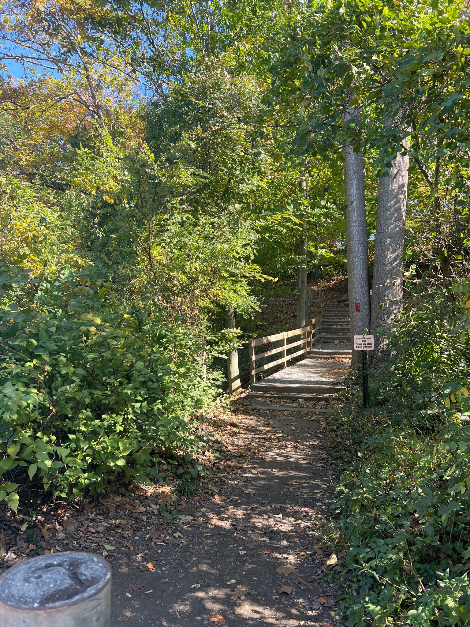 Dirt path leads to wooden bridge and stairs through sunny green woods. - Lake Roland Red Trail