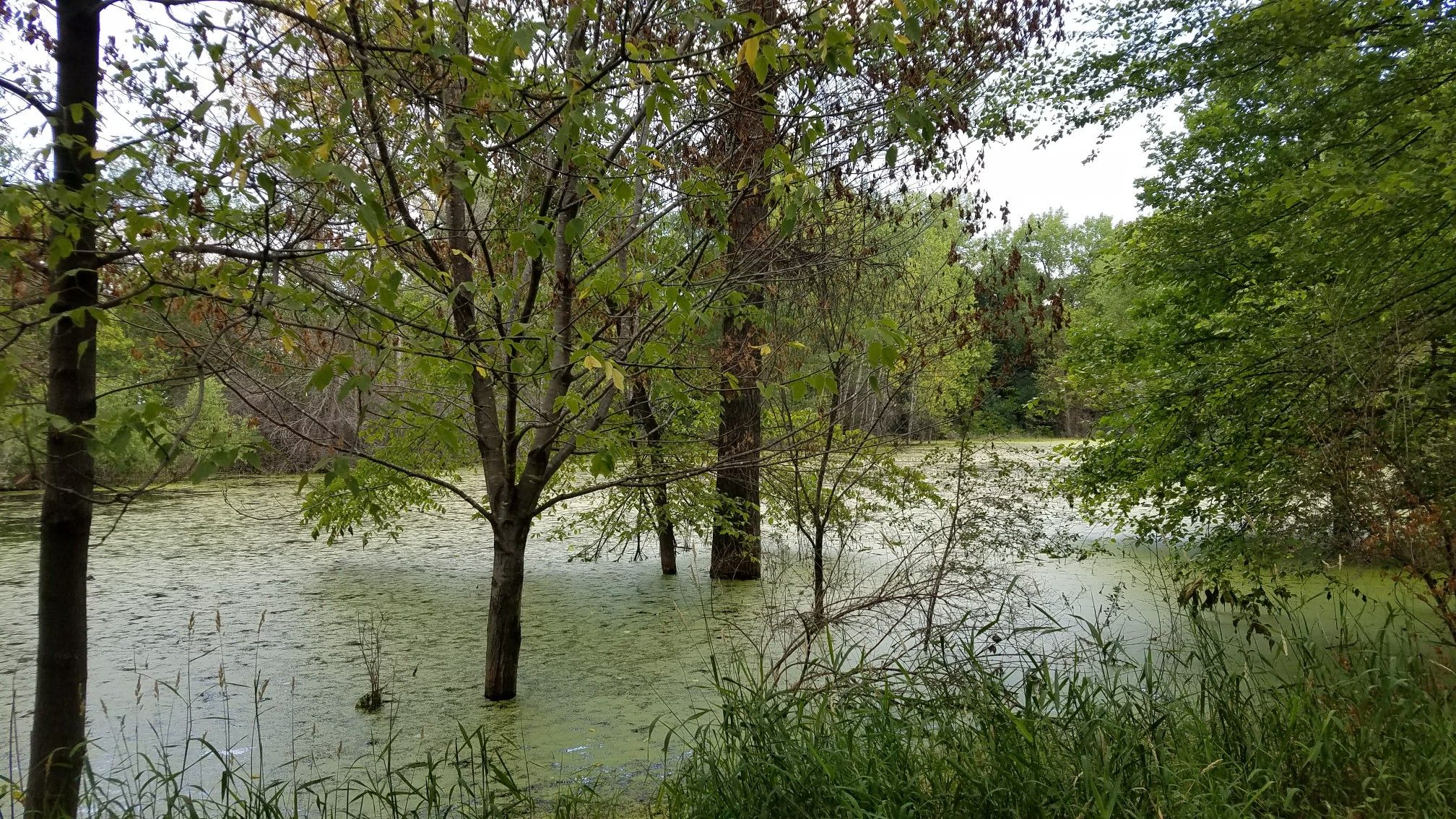 Flooded everywhere