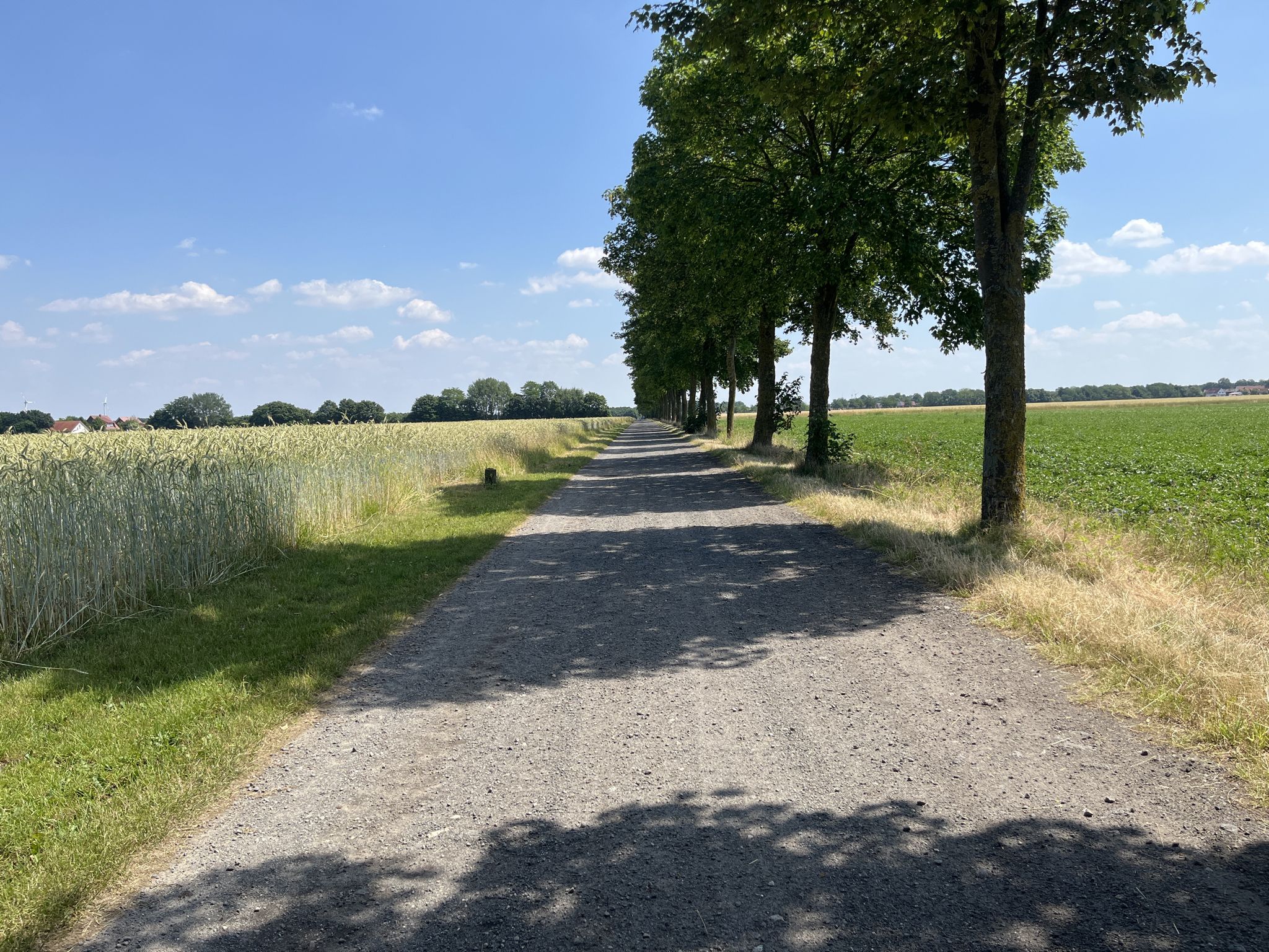 Schöne Schotterpiste